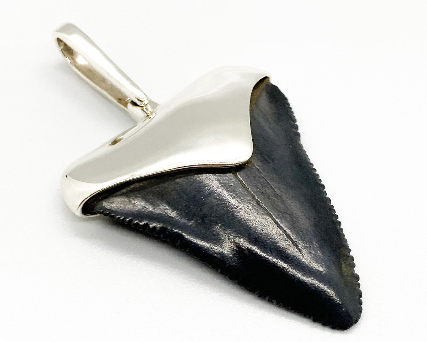 Megalodon tooth sterling silver pendant