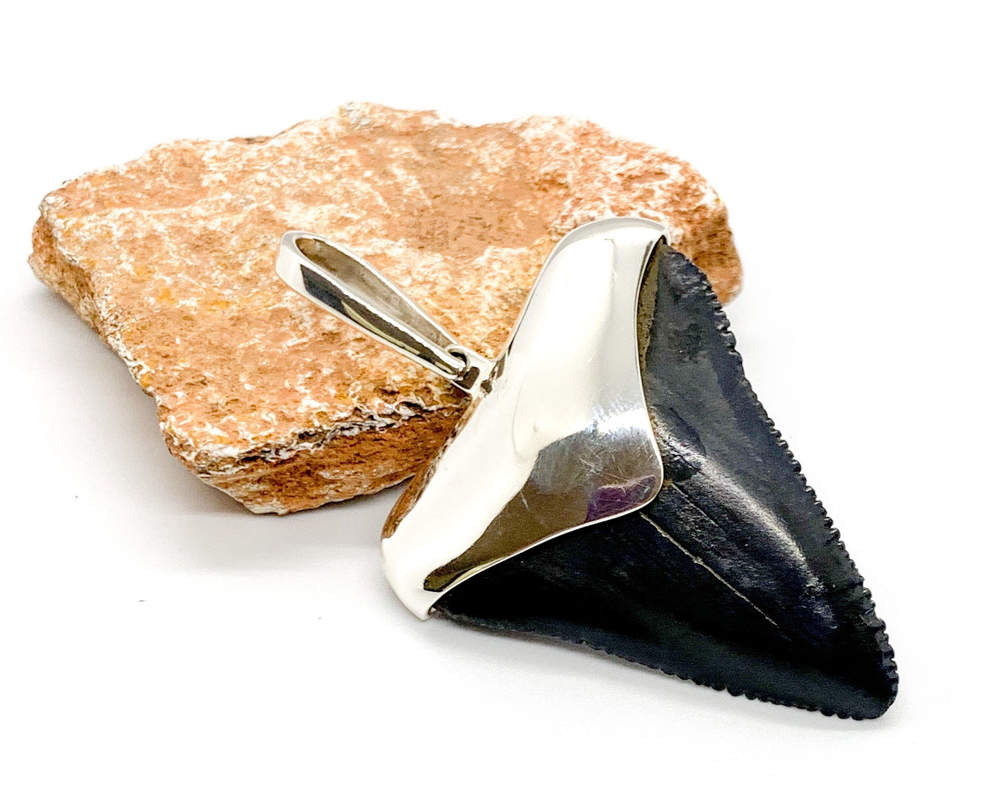 Megalodon tooth sterling silver pendant