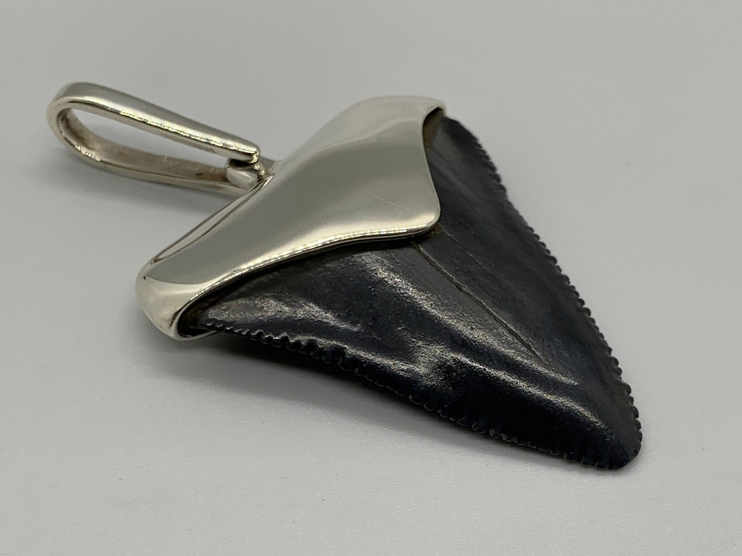 Megalodon tooth sterling silver pendant