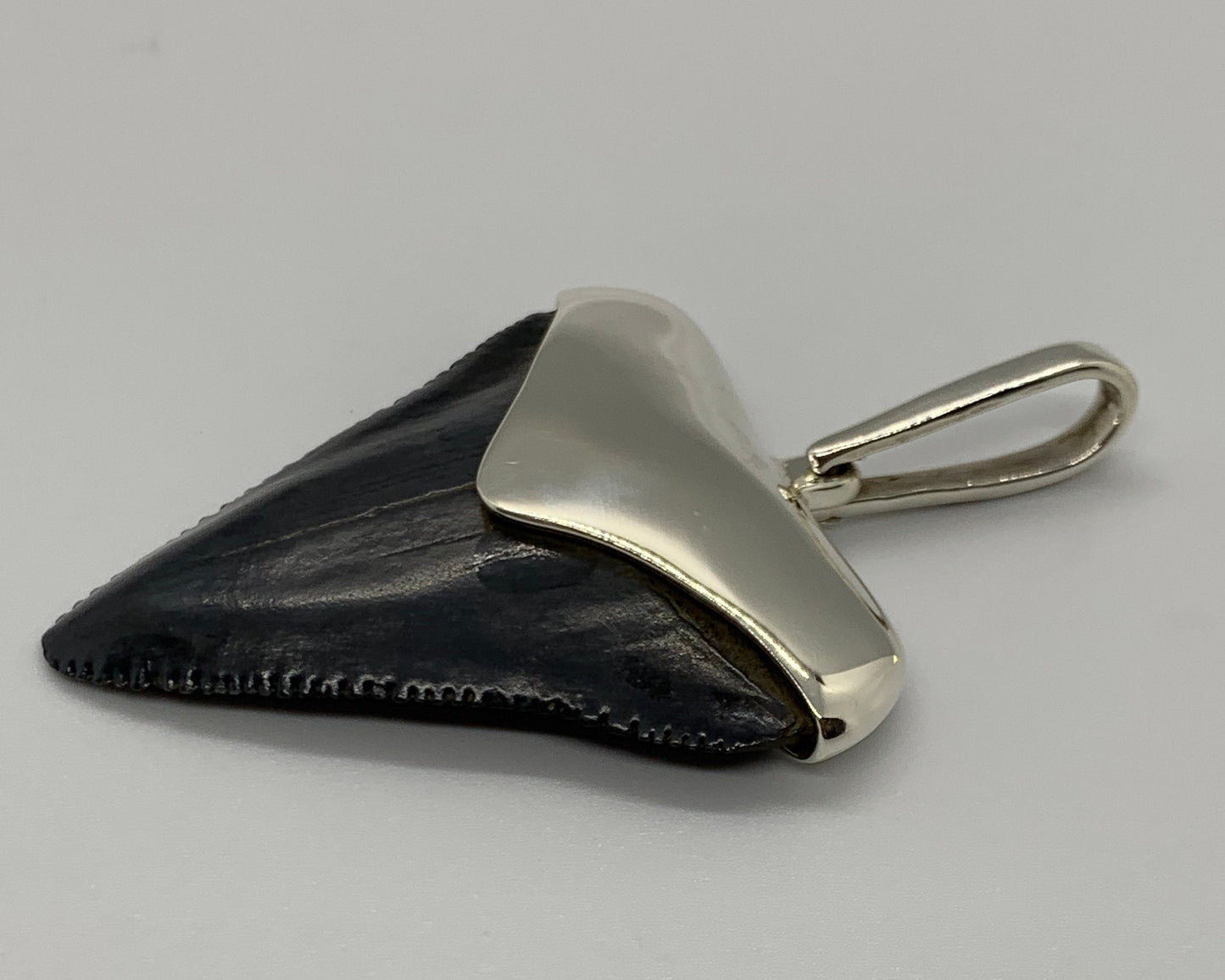 Megalodon tooth sterling silver pendant