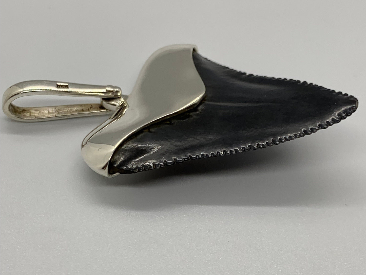 Megalodon tooth sterling silver pendant