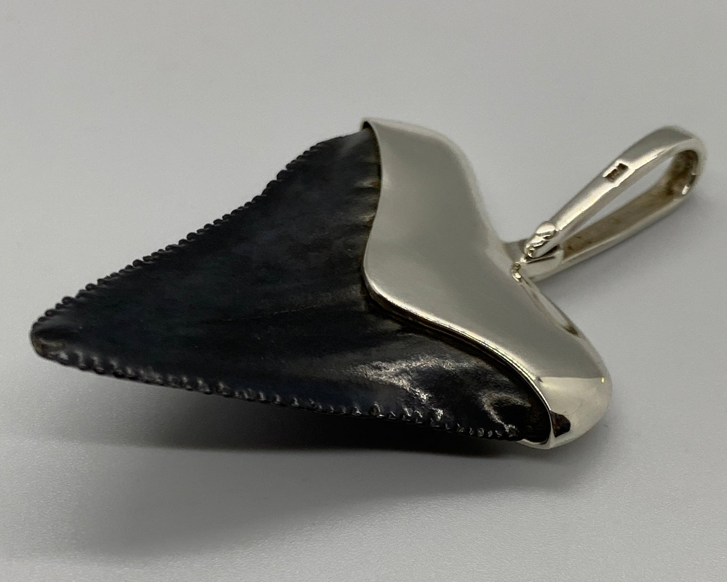 Megalodon tooth sterling silver pendant
