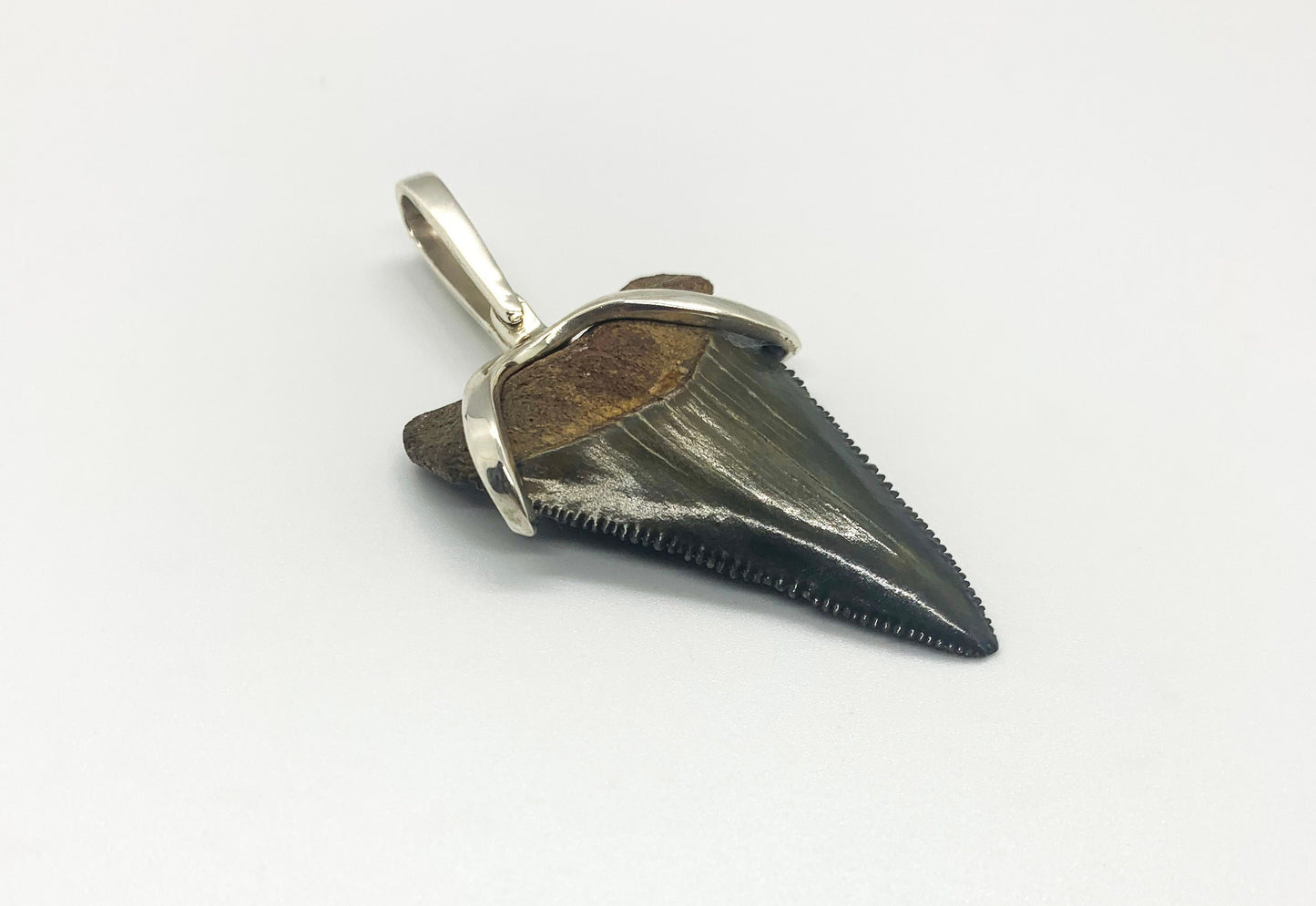 Megalodon tooth sterling silver Small