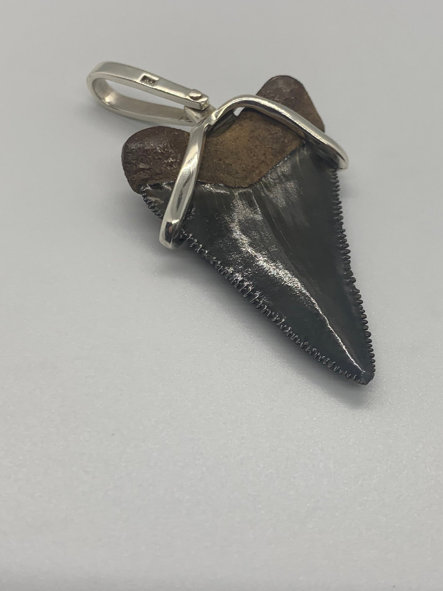 Megalodon tooth sterling silver Small