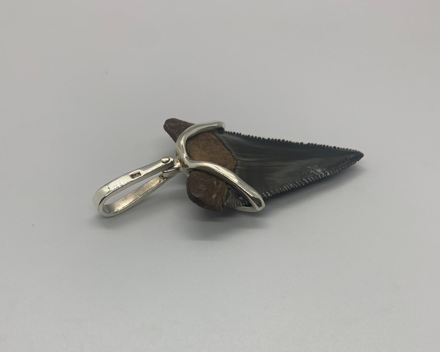 Megalodon tooth sterling silver Small