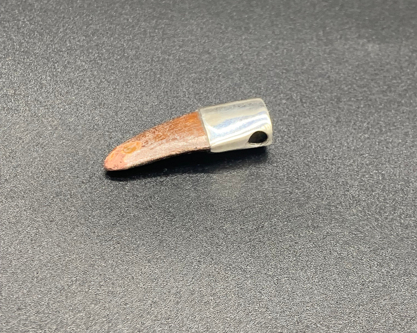 Carcharodontosaurus Tooth Pendant | 1 3/4" | Sterling Silver | 100% Authentic