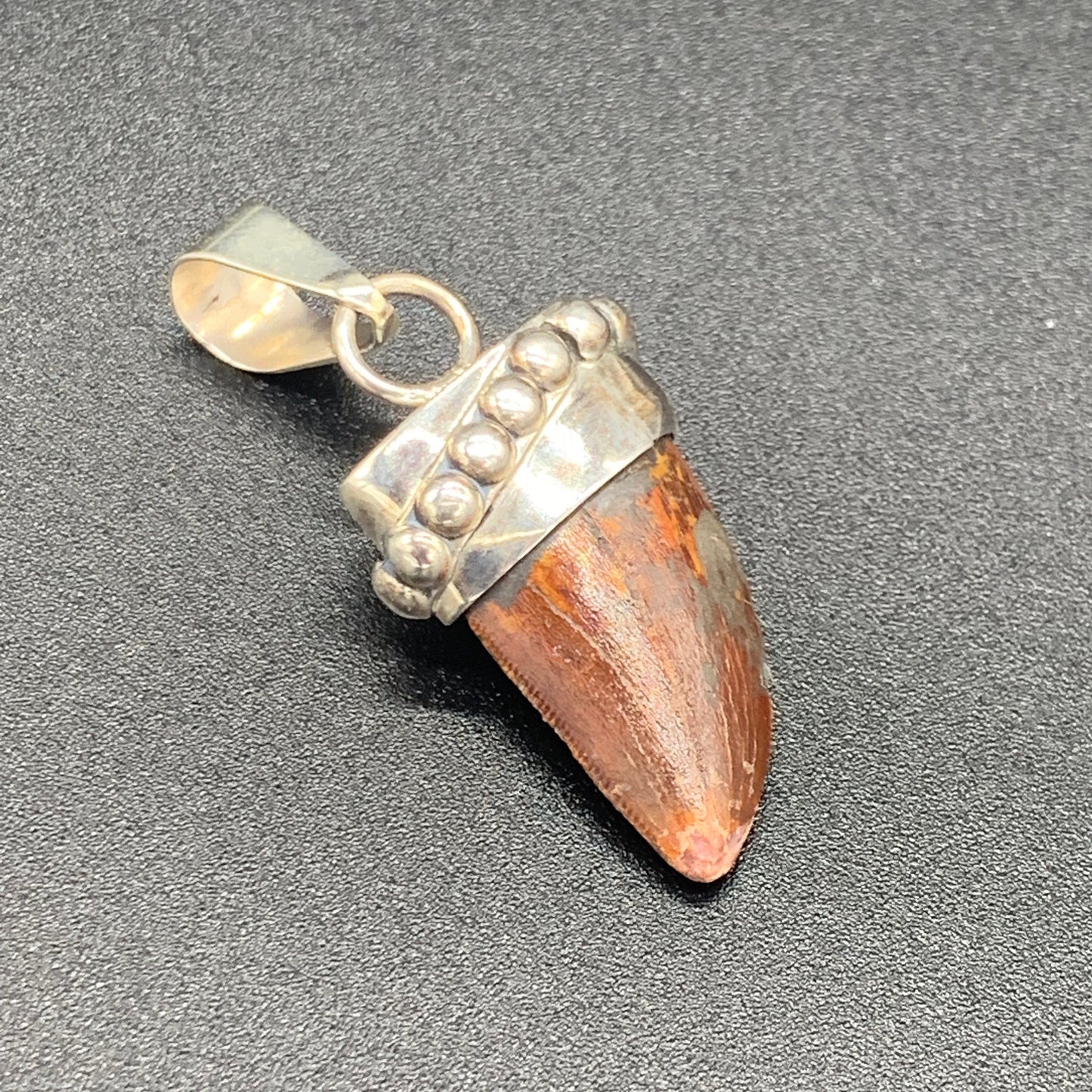 Carcharodontosaurus Tooth Pendant | Sterling Silver | 100% Authentic
