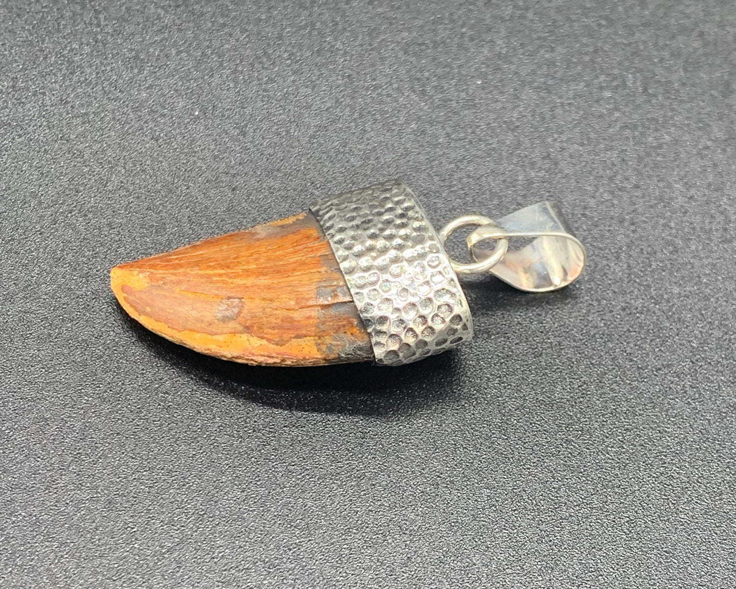 Carcharodontosaurus Tooth Pendant | Sterling Silver | 100% Authentic