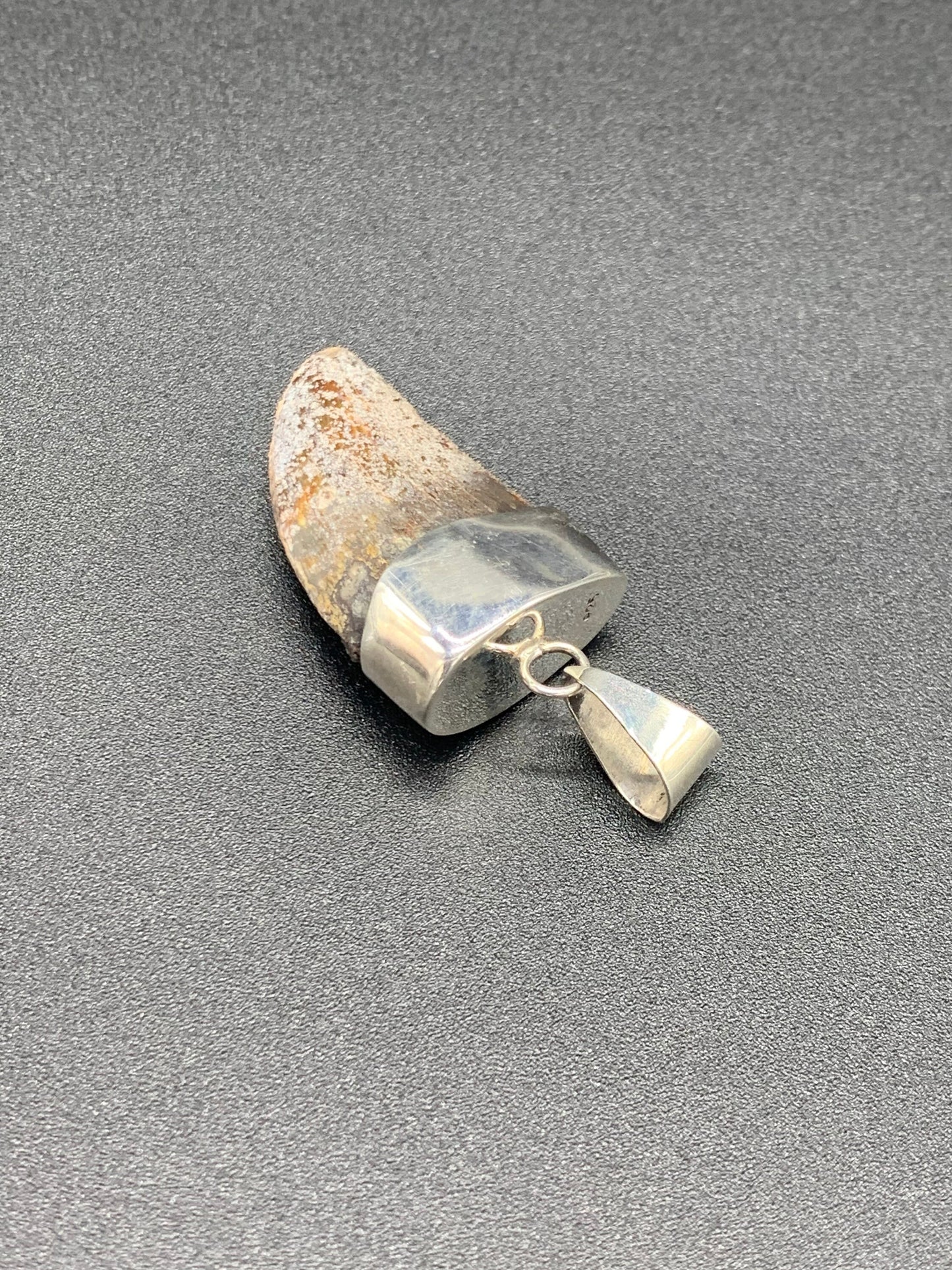 Carcharodontosaurus Tooth Pendant | 1.5" | Sterling Silver | 100% Authentic