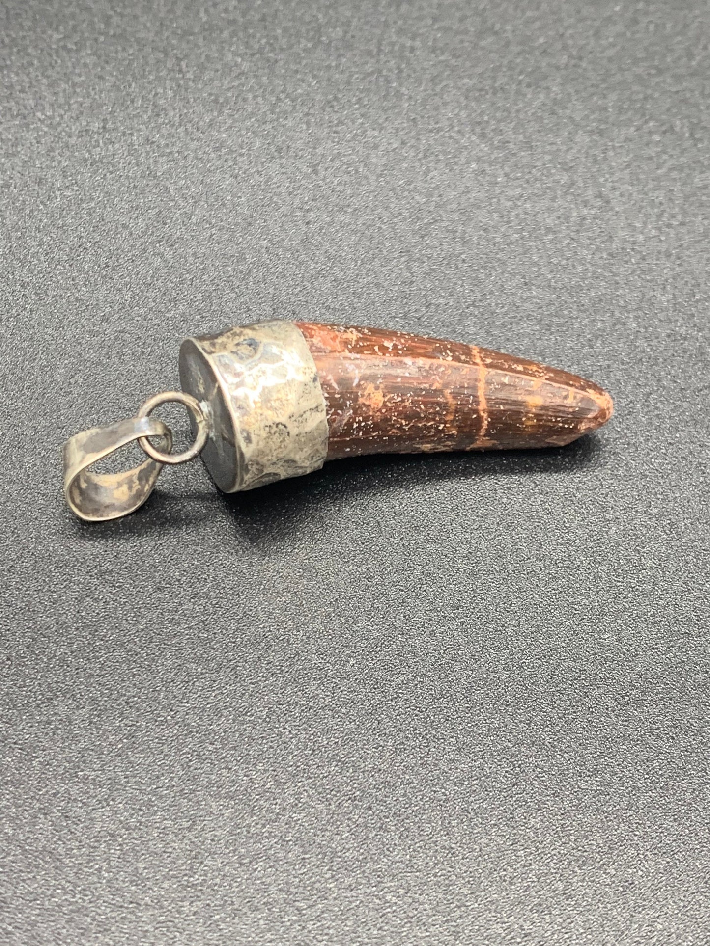 Spinosaurus Tooth Pendant | Sterling Silver | 100% Authentic