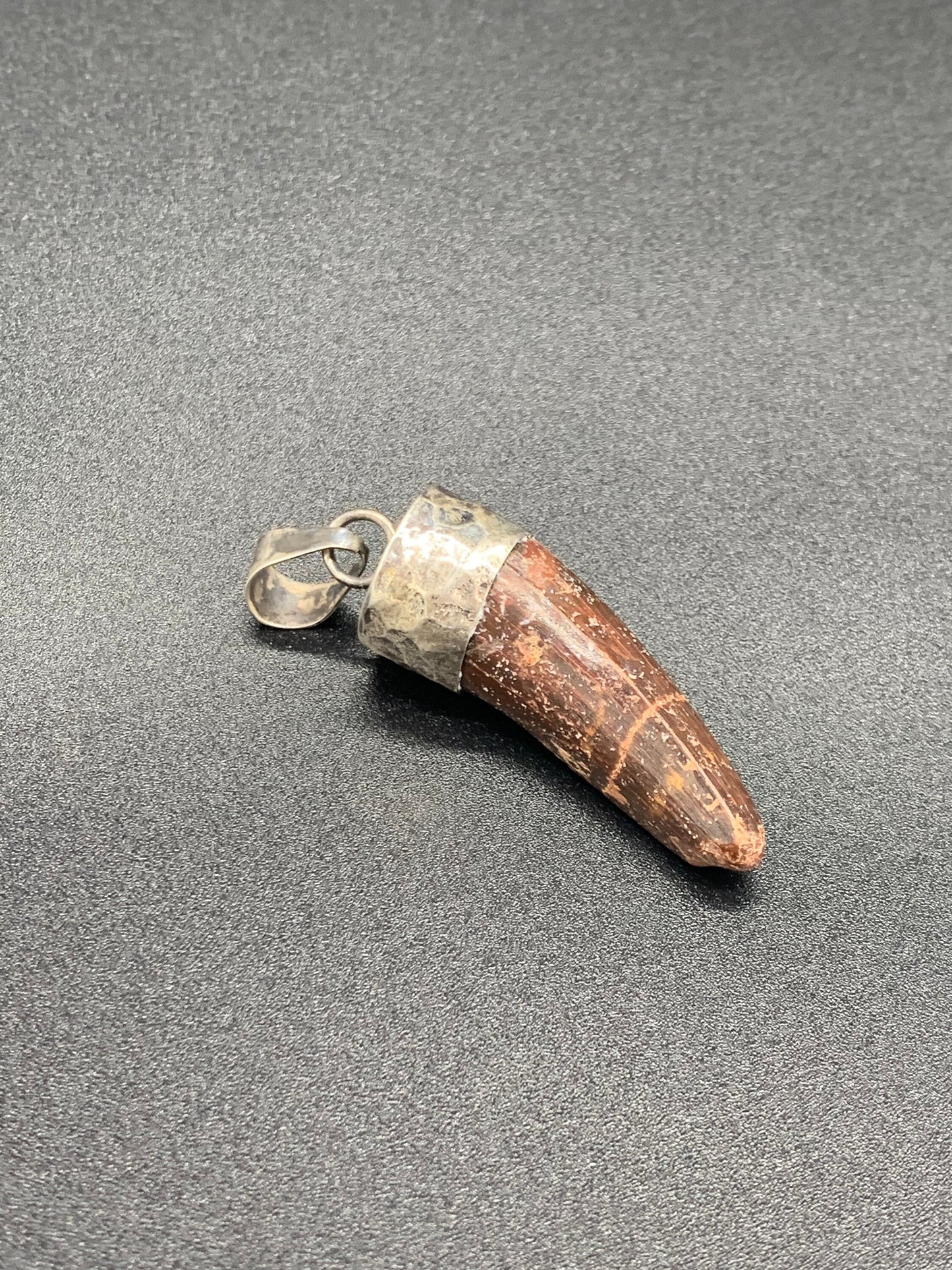Spinosaurus Tooth Pendant | Sterling Silver | 100% Authentic