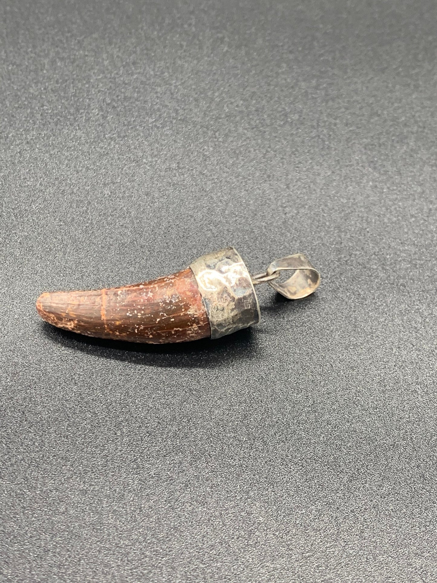 Spinosaurus Tooth Pendant | Sterling Silver | 100% Authentic