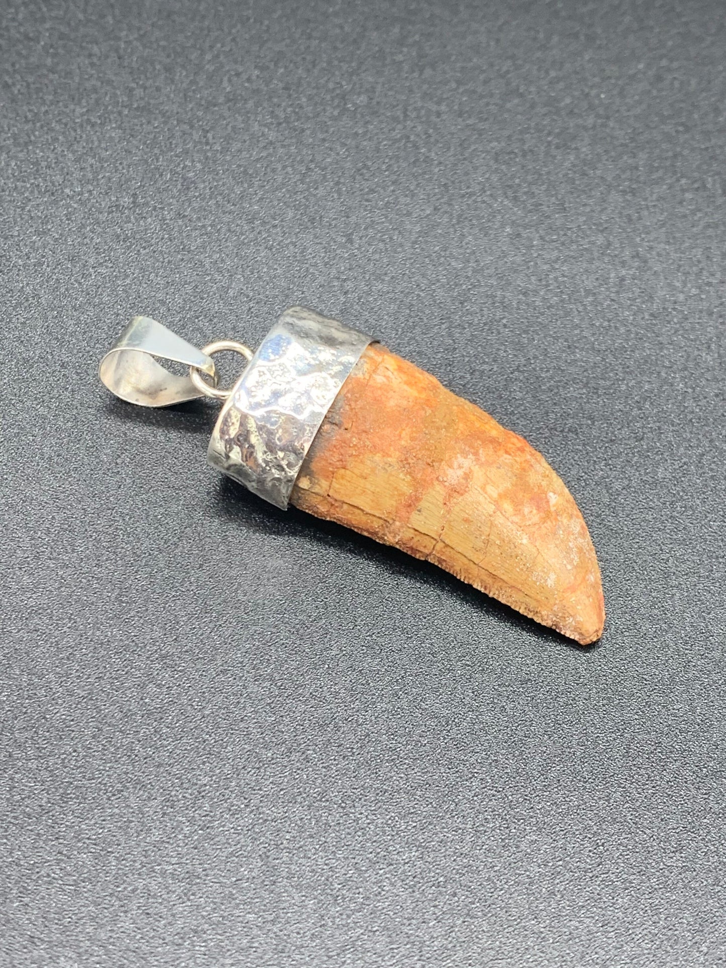 Carcharodontosaurus Tooth Pendant | 2" | Sterling Silver | 100% Authentic