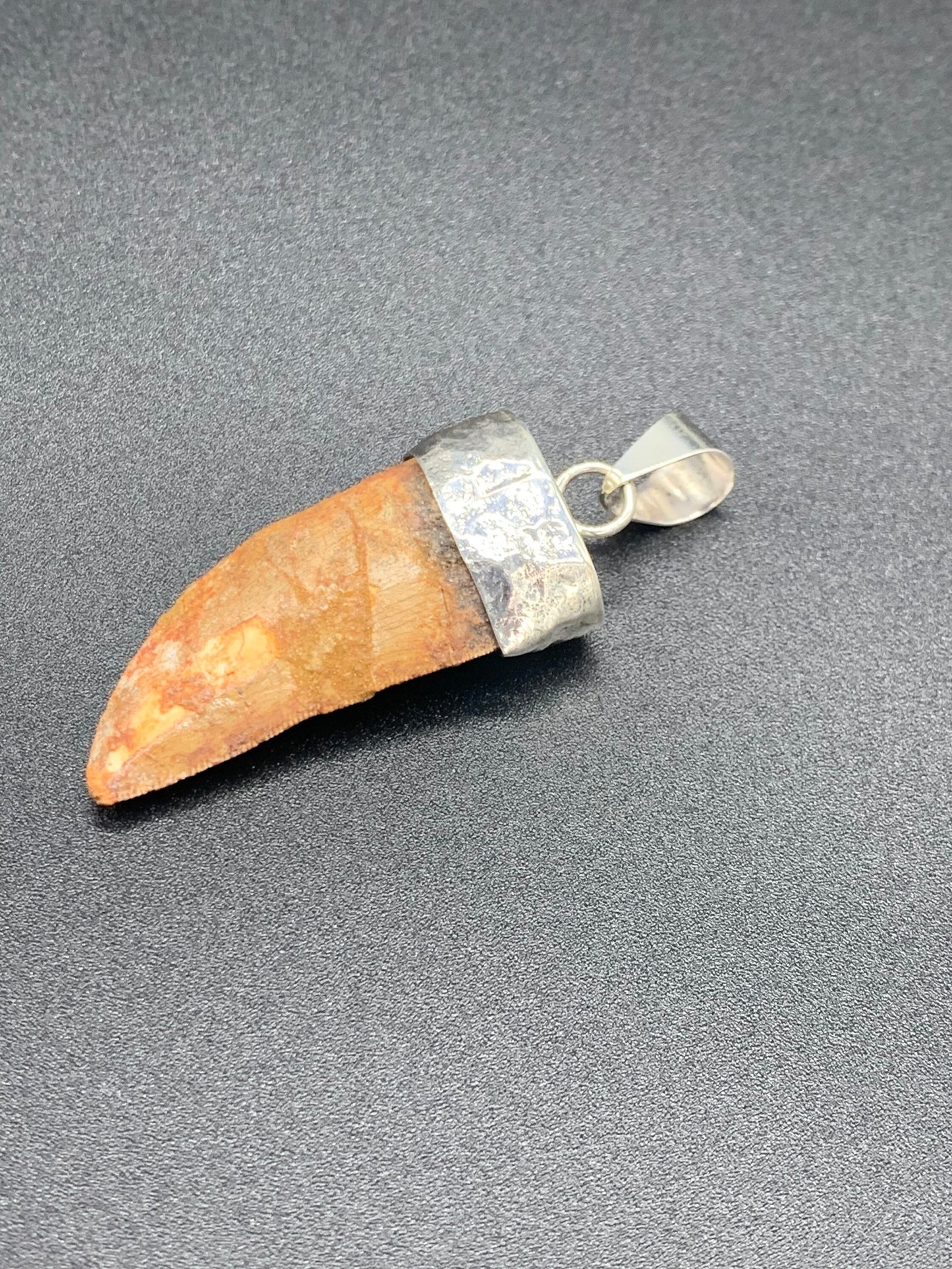 Carcharodontosaurus Tooth Pendant | 2" | Sterling Silver | 100% Authentic