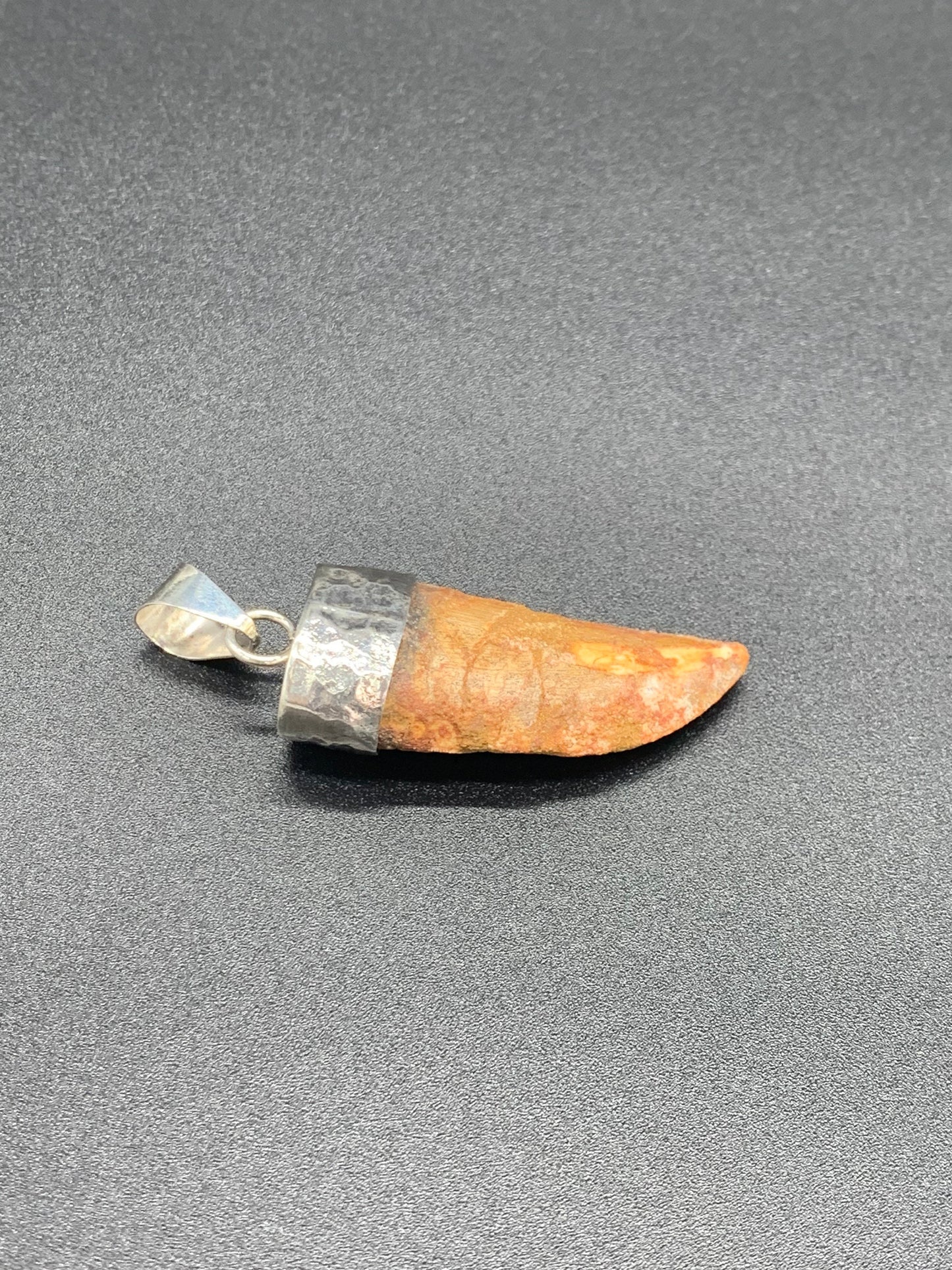 Carcharodontosaurus Tooth Pendant | 2" | Sterling Silver | 100% Authentic