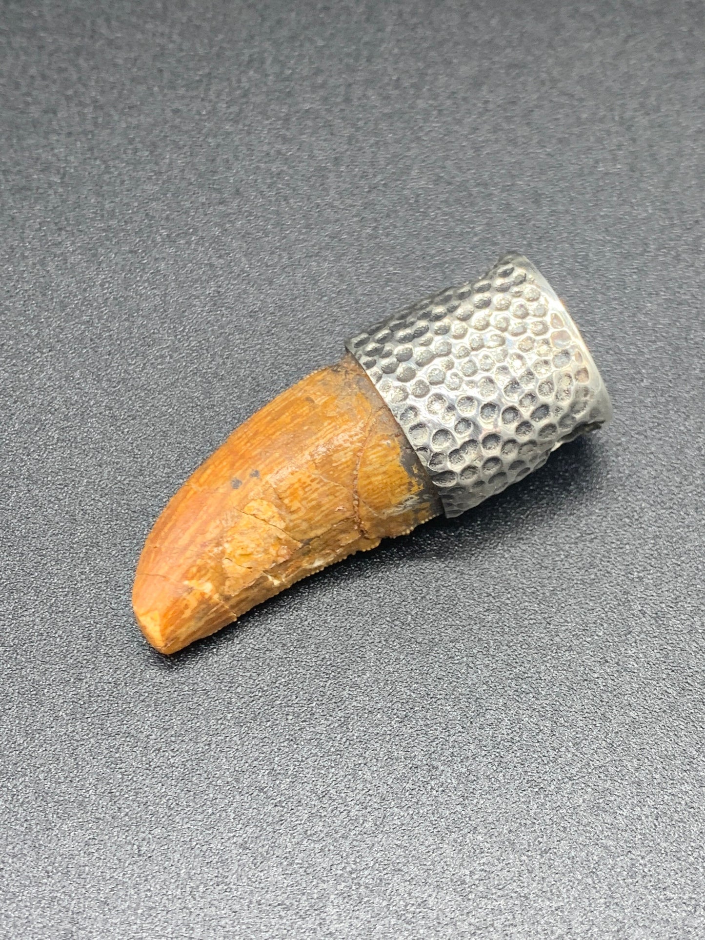 Carcharodontosaurus Tooth Pendant | 1.5" | Sterling Silver | 100% Authentic