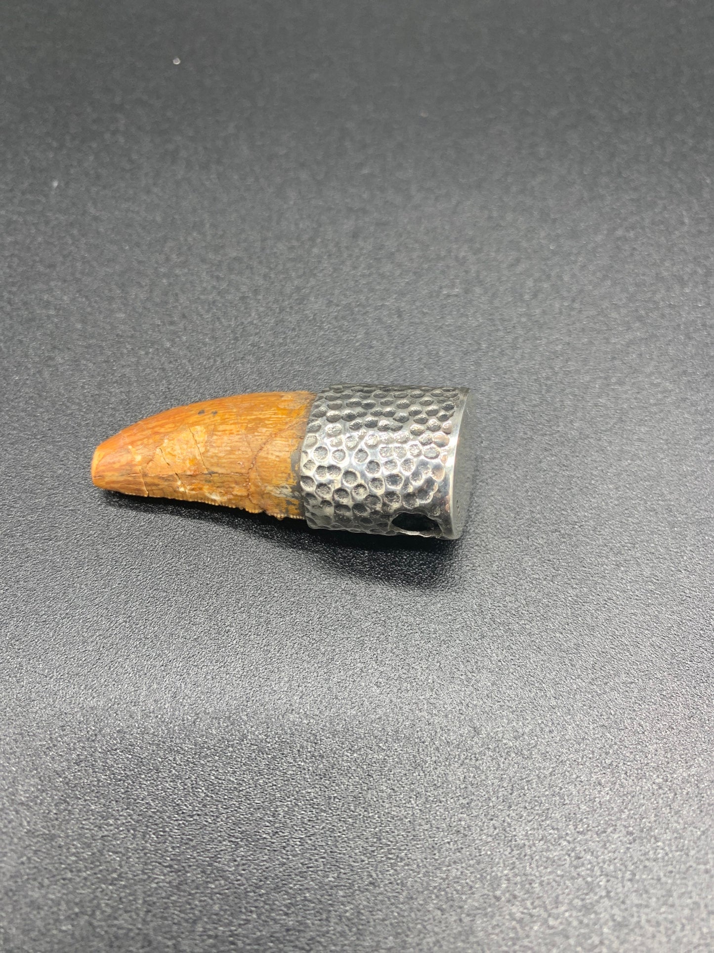 Carcharodontosaurus Tooth Pendant | 1.5" | Sterling Silver | 100% Authentic