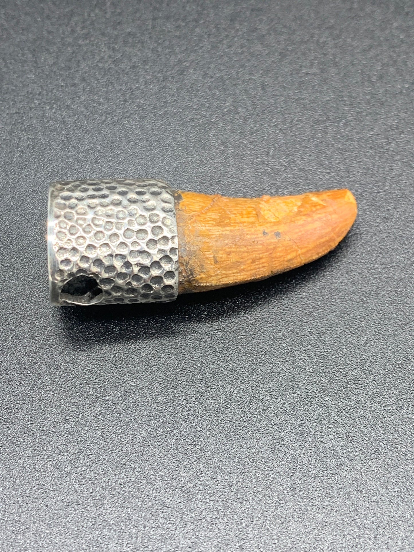 Carcharodontosaurus Tooth Pendant | 1.5" | Sterling Silver | 100% Authentic