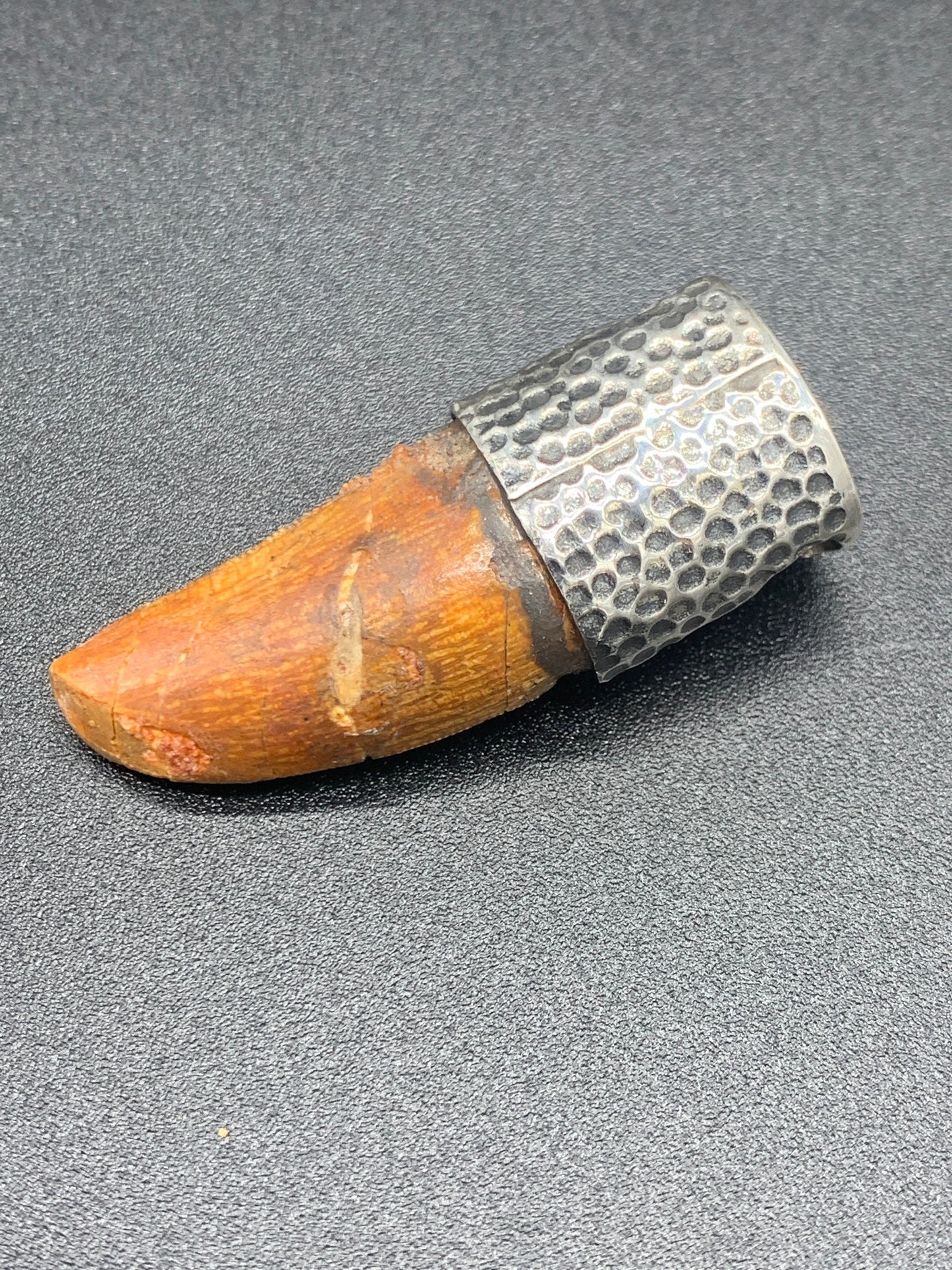 Carcharodontosaurus Tooth Pendant | 1.5" | Sterling Silver | 100% Authentic