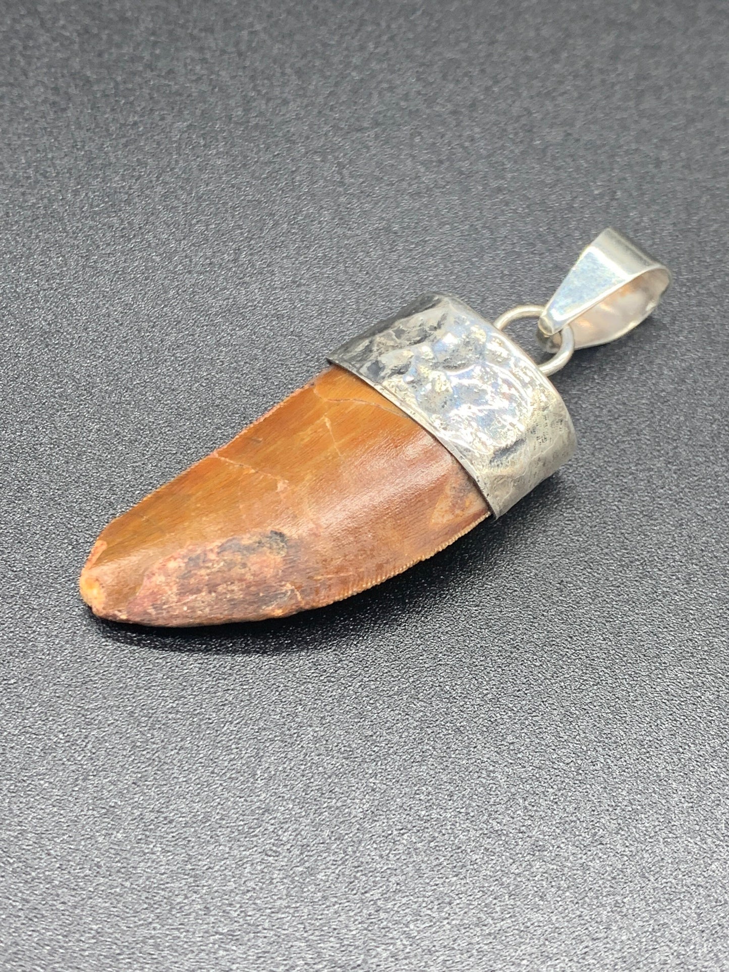 Carcharodontosaurus Tooth Pendant | 1 1/3" | Sterling Silver | 100% Authentic
