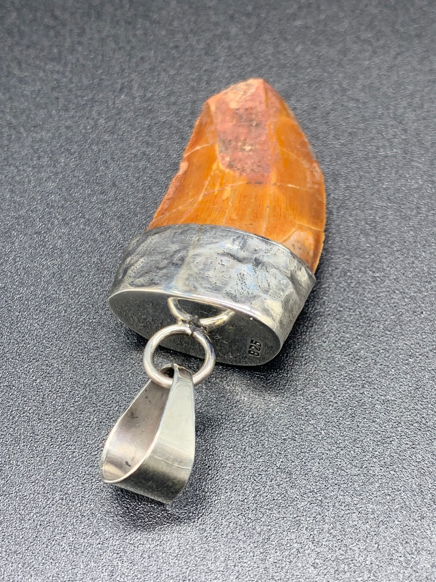 Carcharodontosaurus Tooth Pendant | 1 1/3" | Sterling Silver | 100% Authentic