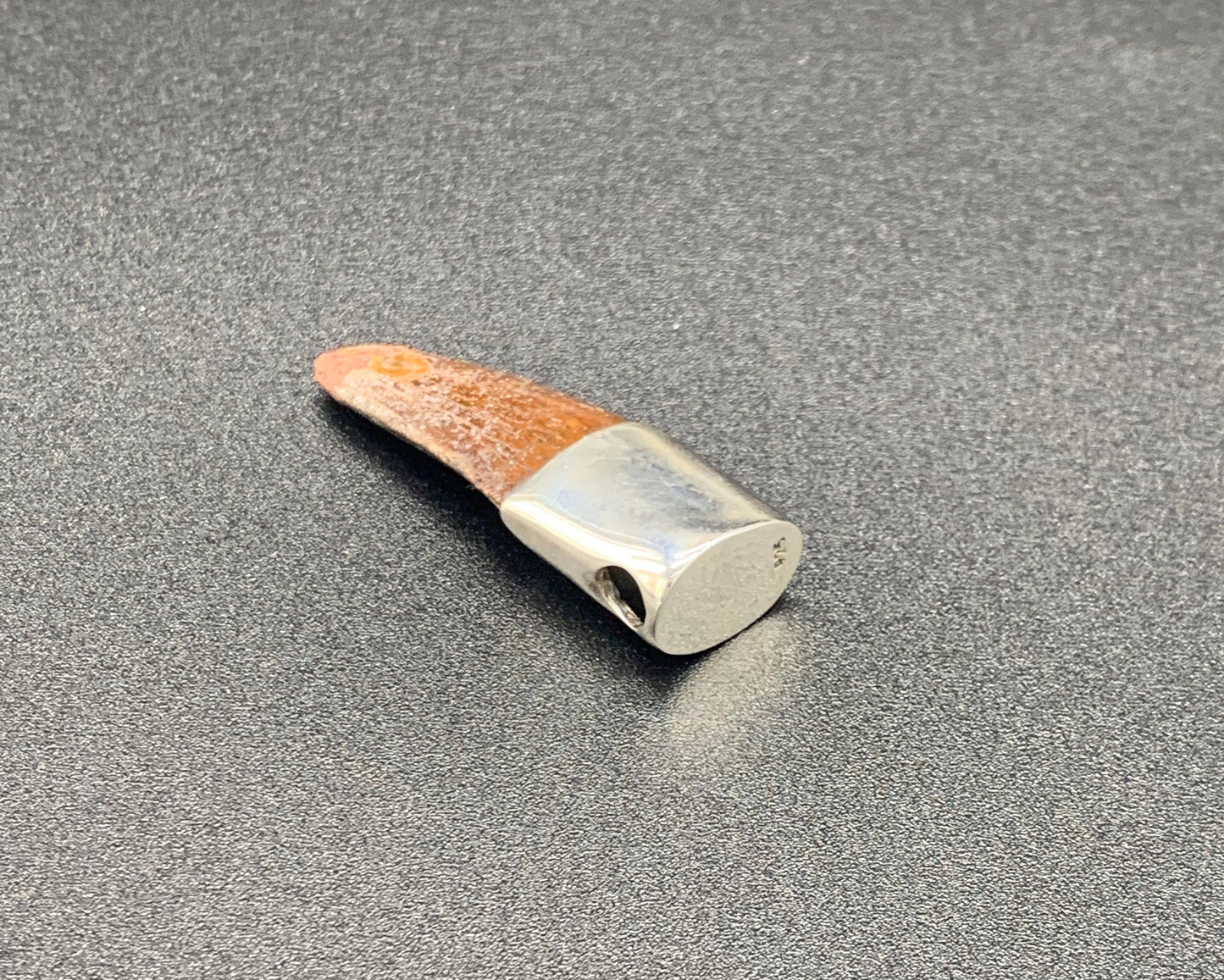 Carcharodontosaurus Tooth Pendant | 1 3/4" | Sterling Silver | 100% Authentic