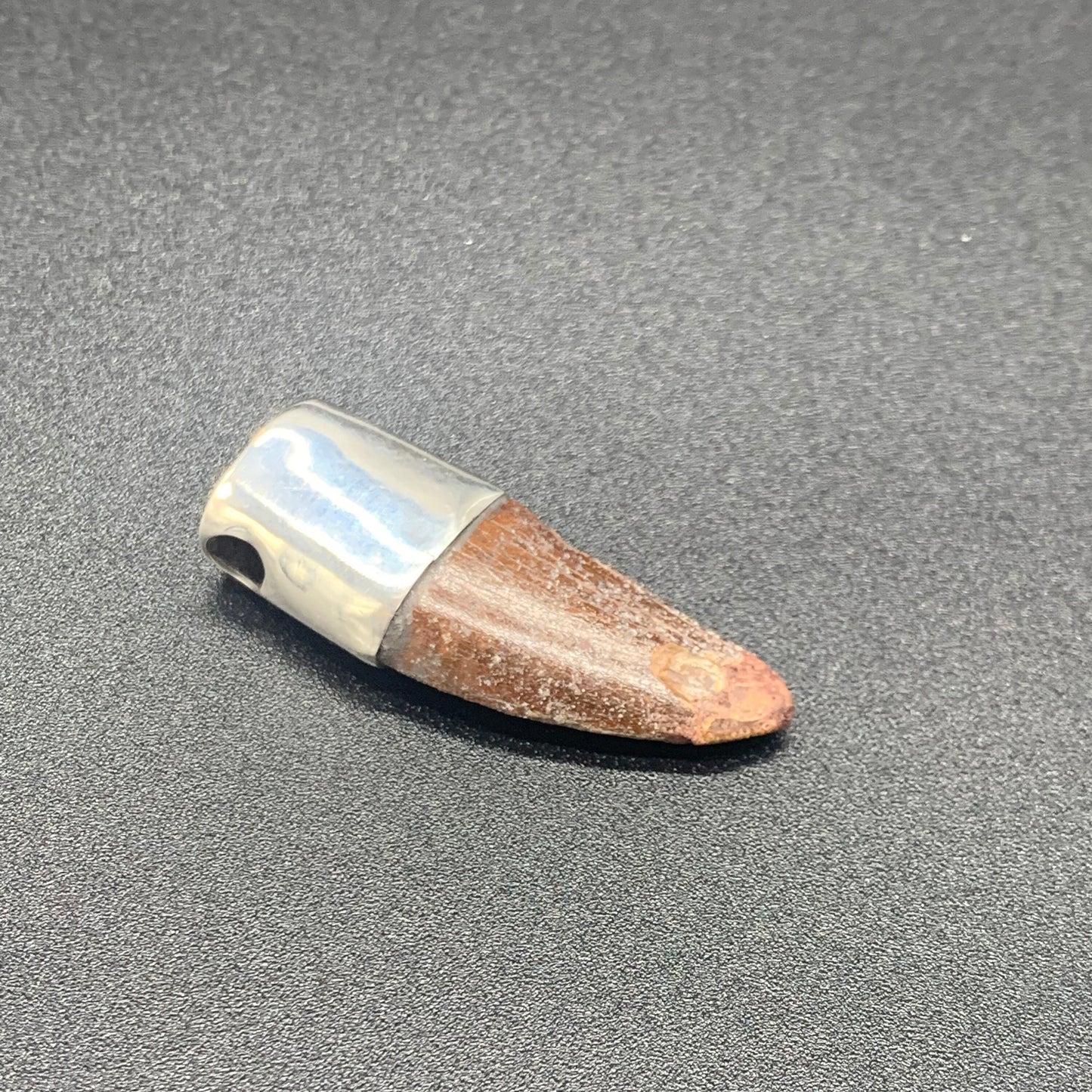 Carcharodontosaurus Tooth Pendant | 1 3/4" | Sterling Silver | 100% Authentic