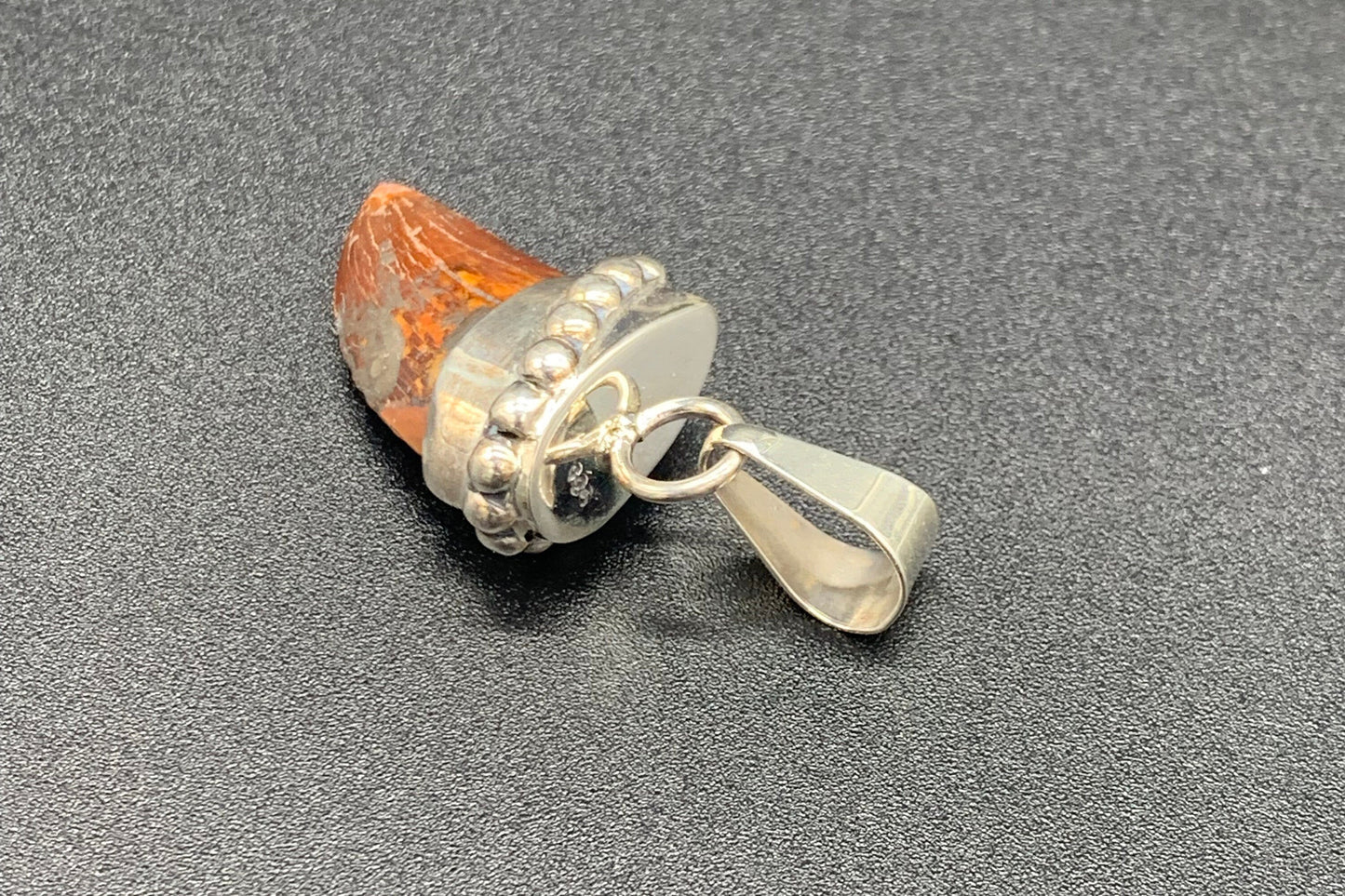 Carcharodontosaurus Tooth Pendant | Sterling Silver | 100% Authentic