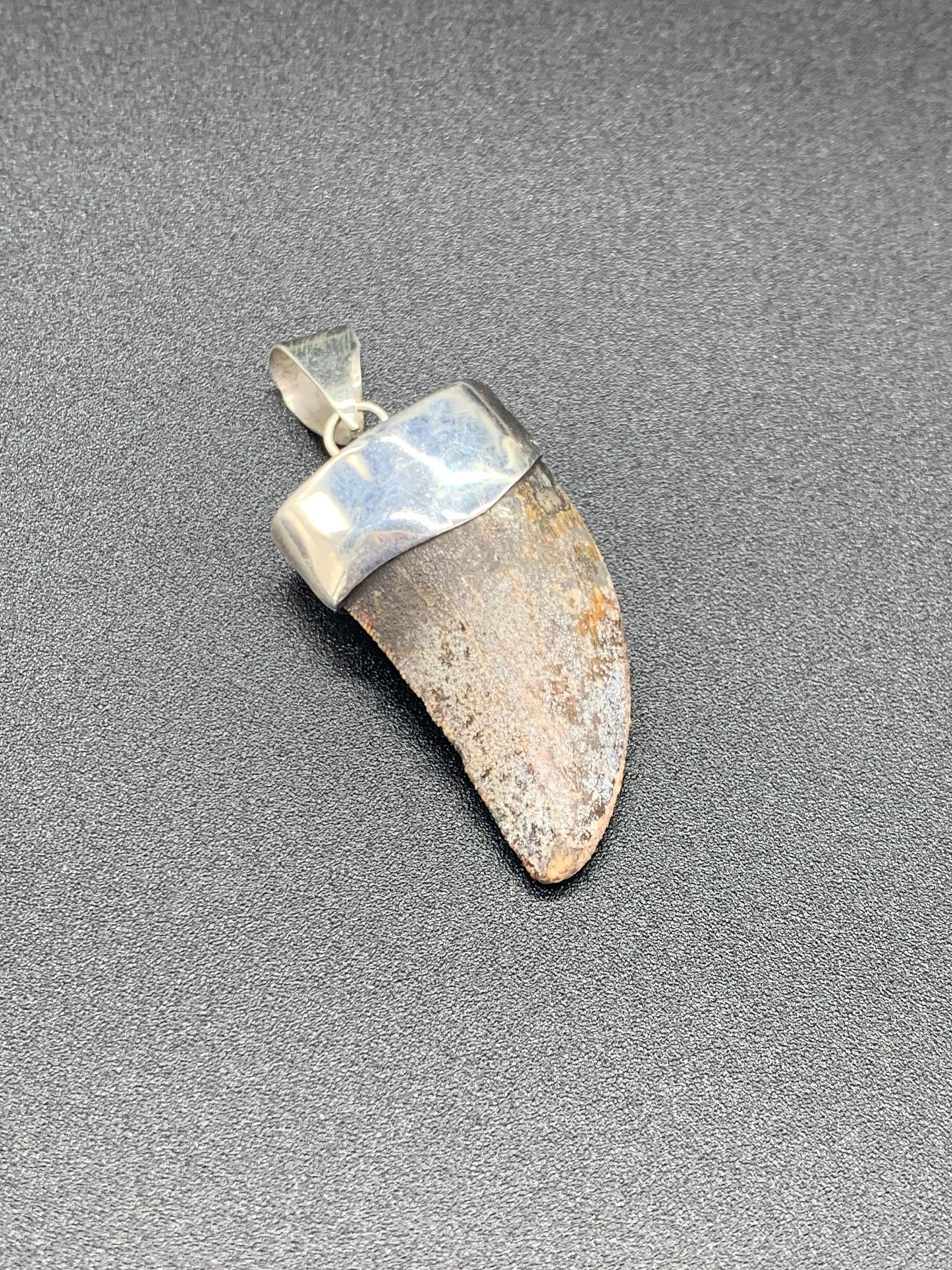Carcharodontosaurus Tooth Pendant | 1.5" | Sterling Silver | 100% Authentic