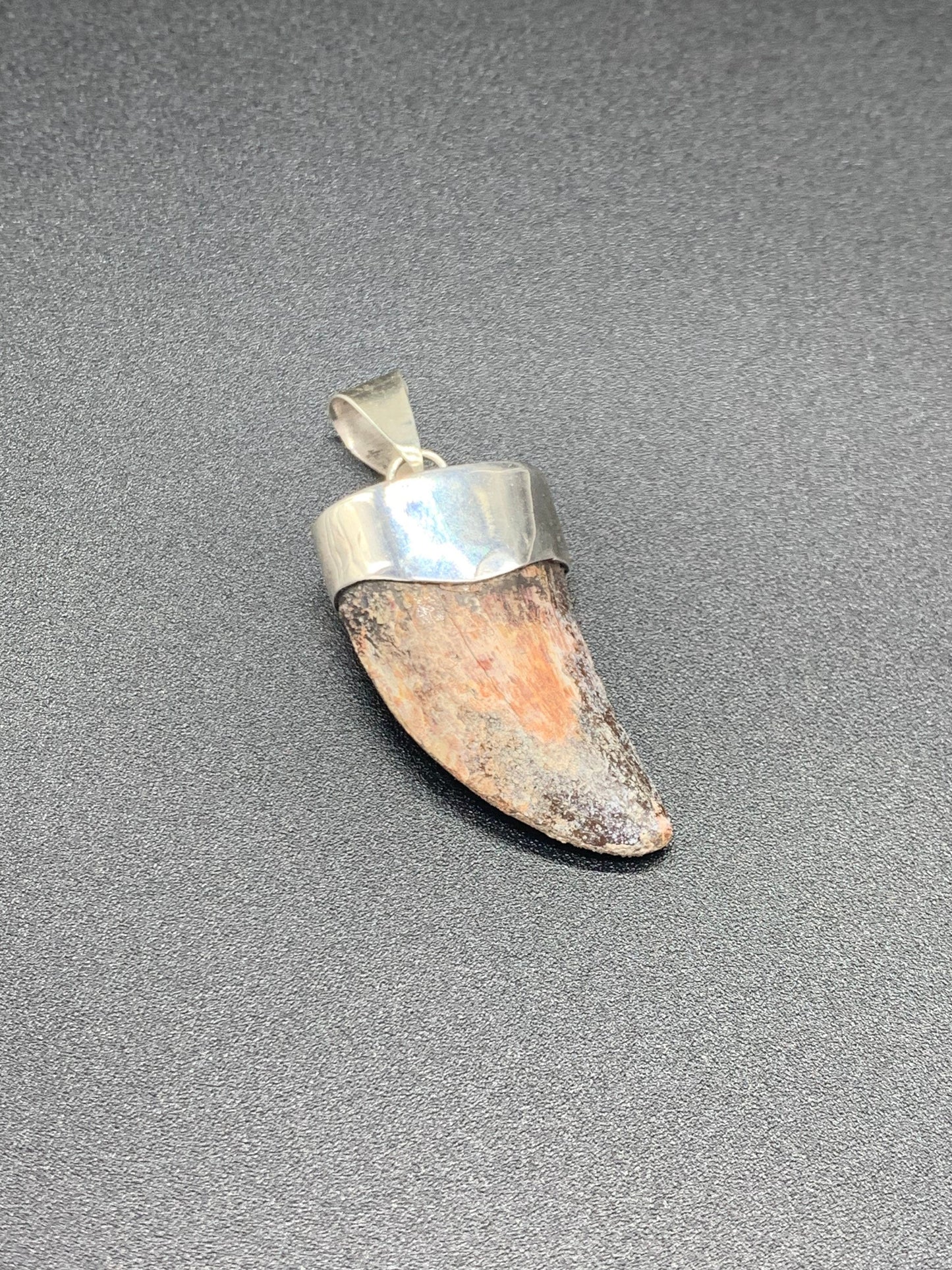 Carcharodontosaurus Tooth Pendant | 1.5" | Sterling Silver | 100% Authentic