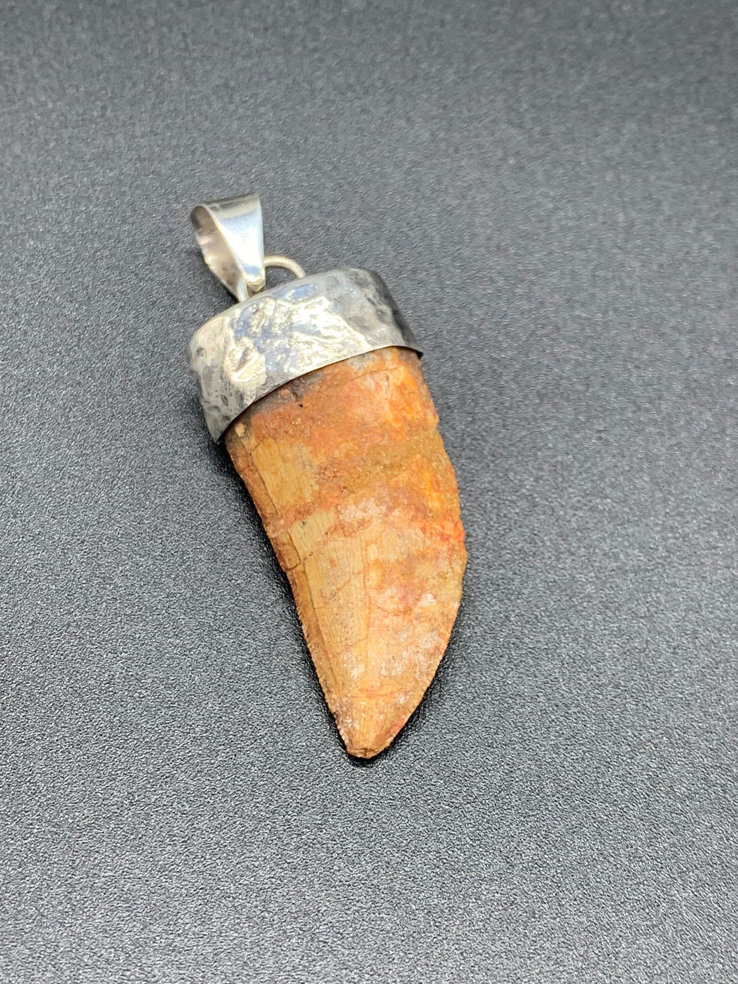 Carcharodontosaurus Tooth Pendant | 2" | Sterling Silver | 100% Authentic