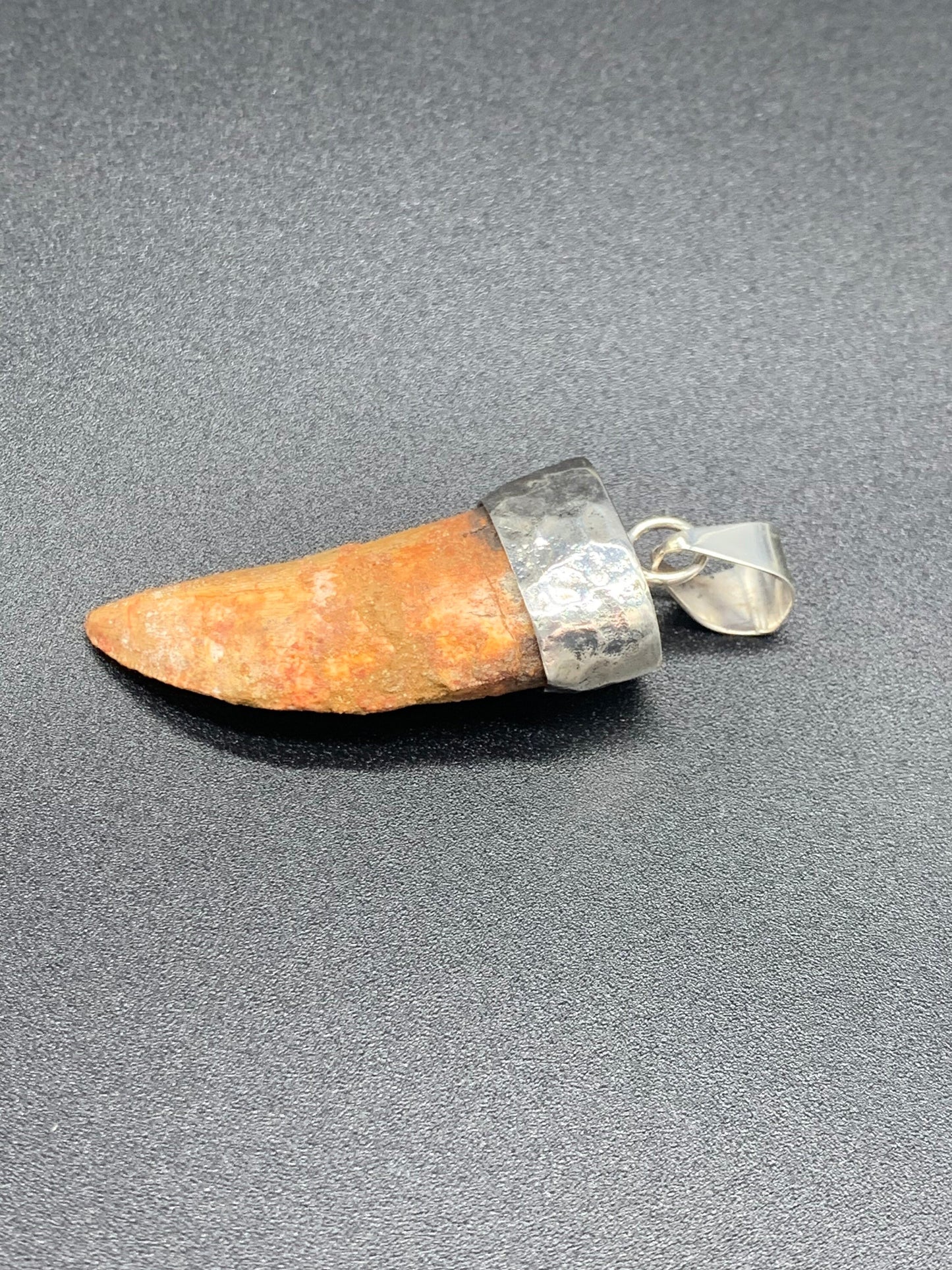 Carcharodontosaurus Tooth Pendant | 2" | Sterling Silver | 100% Authentic