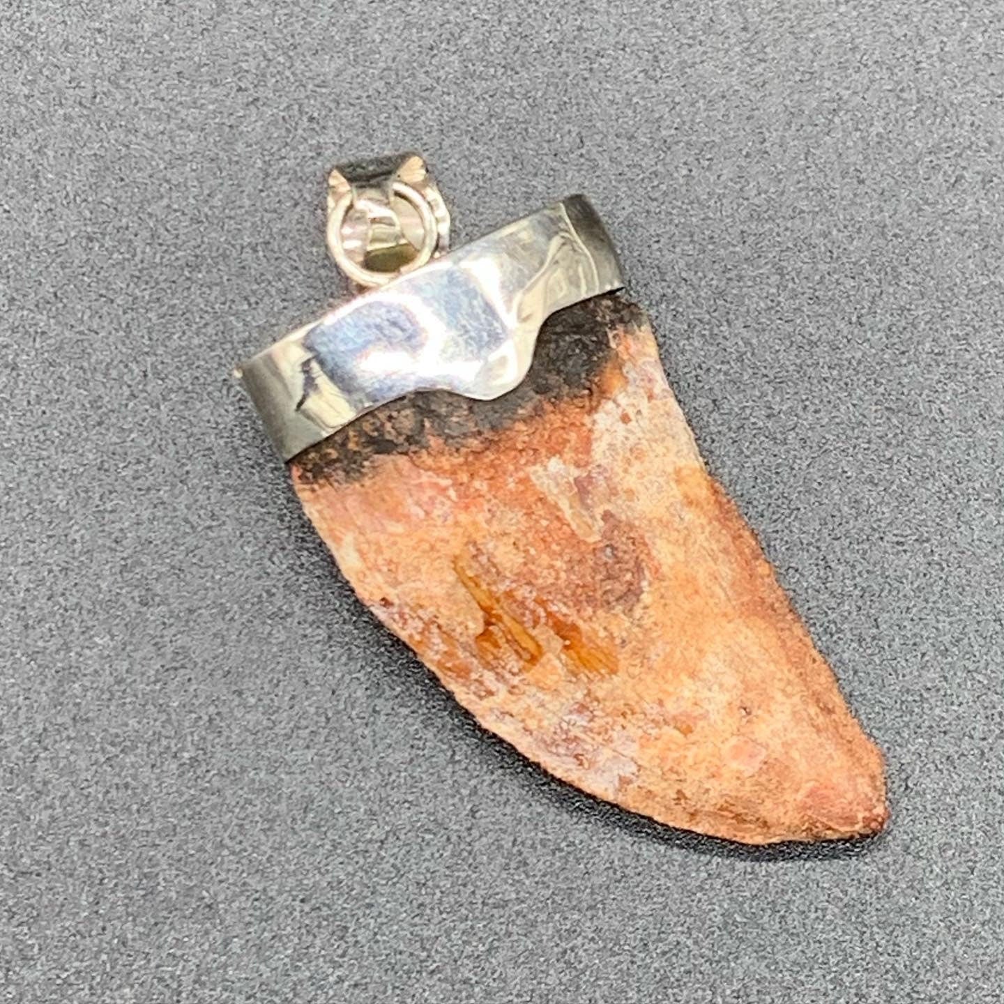 Carcharodontosaurus Tooth Pendant | 2" and Bulky | Sterling Silver | 100% Authentic