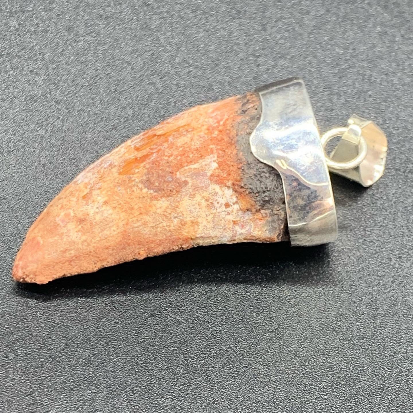 Carcharodontosaurus Tooth Pendant | 2" and Bulky | Sterling Silver | 100% Authentic