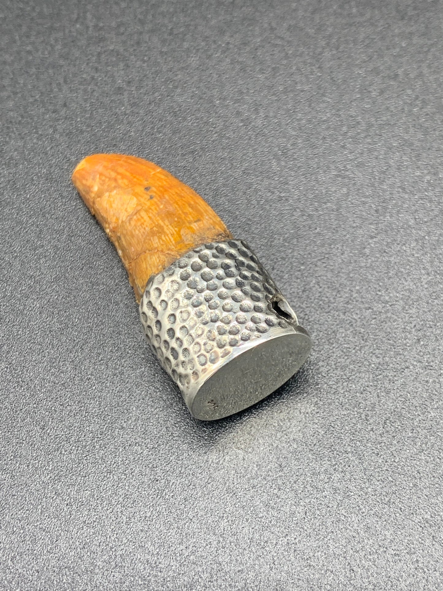Carcharodontosaurus Tooth Pendant | 1.5" | Sterling Silver | 100% Authentic