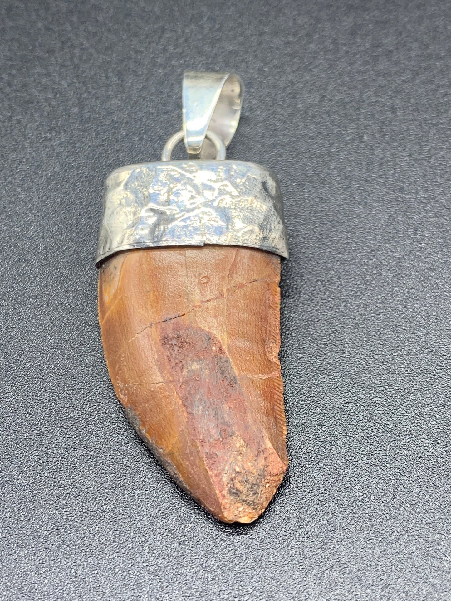 Carcharodontosaurus Tooth Pendant | 1 1/3" | Sterling Silver | 100% Authentic