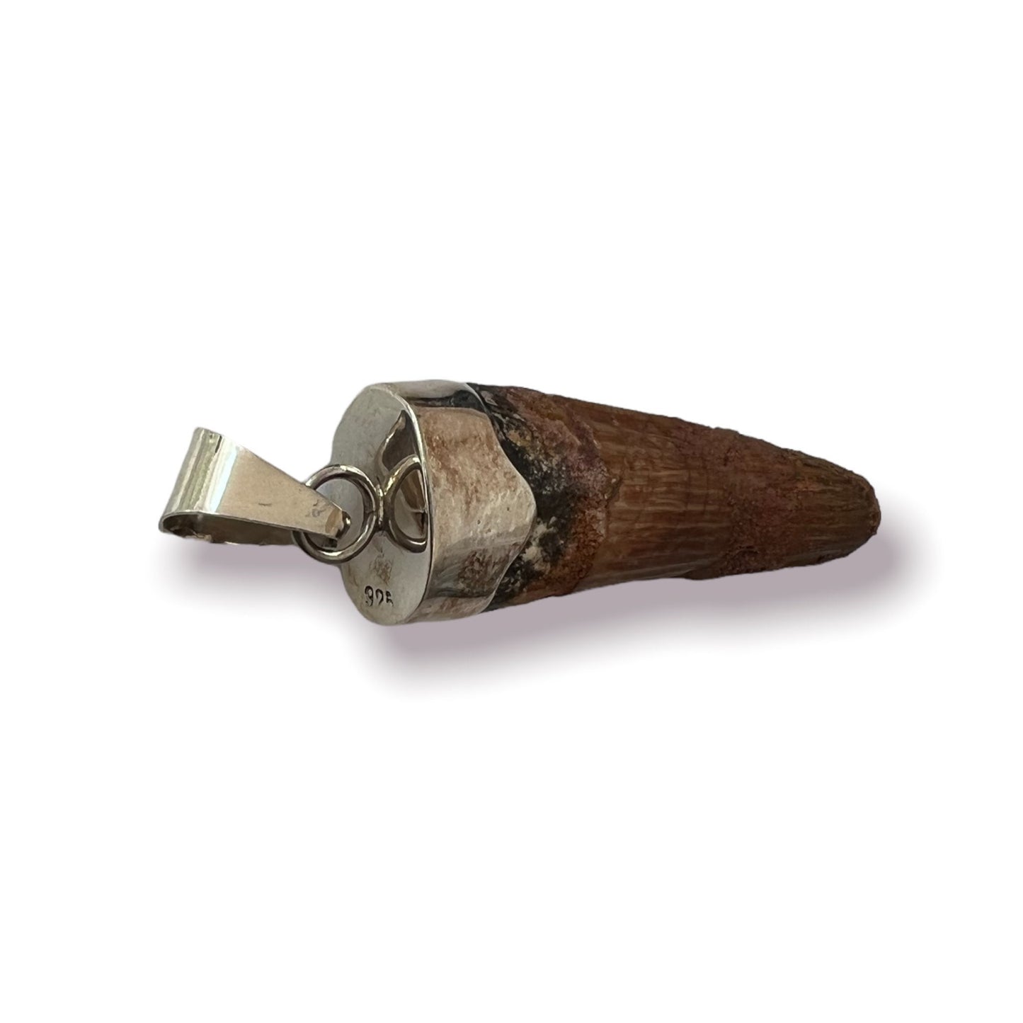 Spinosaurus Tooth Pendant | Sterling Silver | 100% Authentic