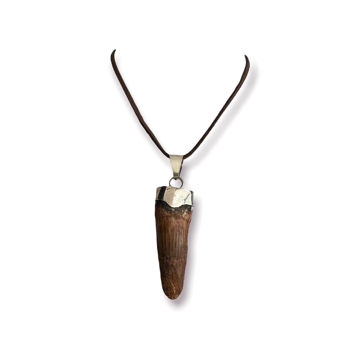 Spinosaurus Tooth Pendant | Sterling Silver | 100% Authentic