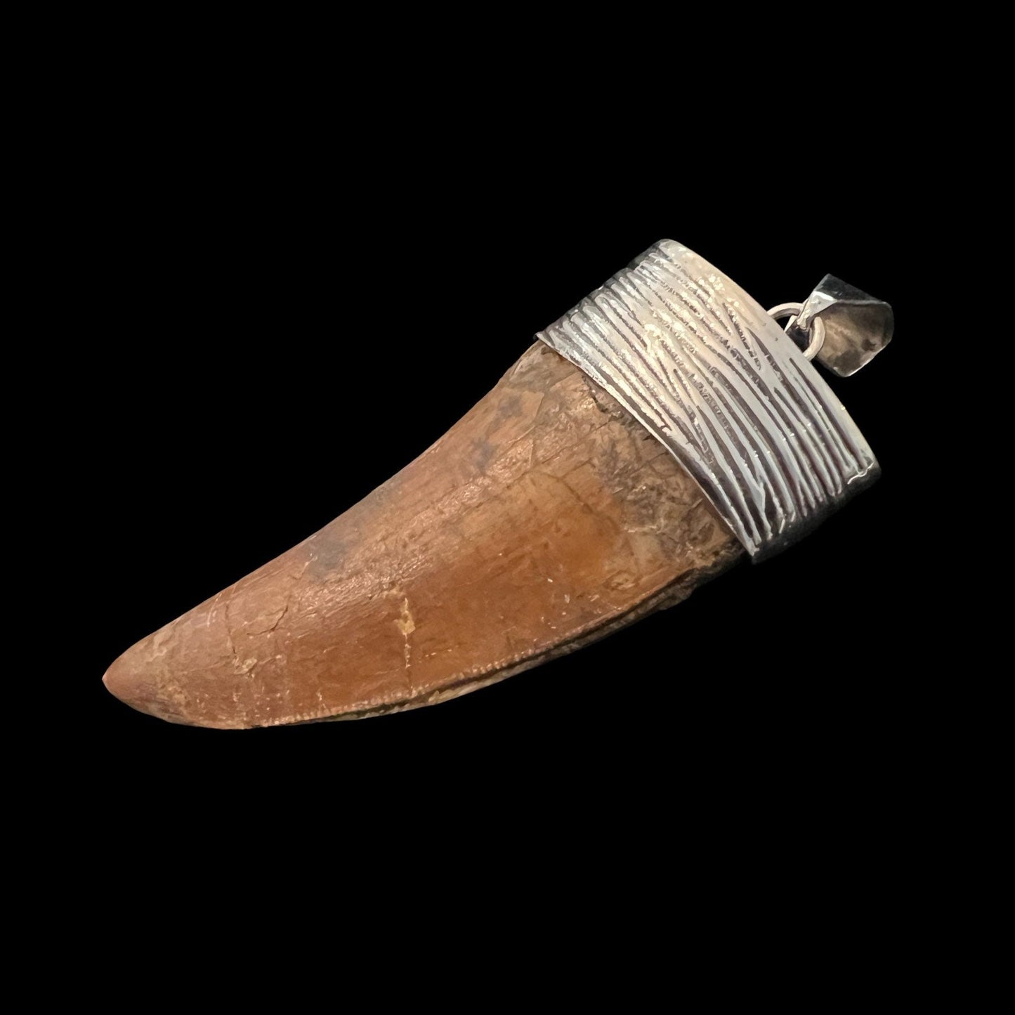 Carcharodontosaurus Tooth Pendant | 2.5" | Sterling Silver | 100% Authentic