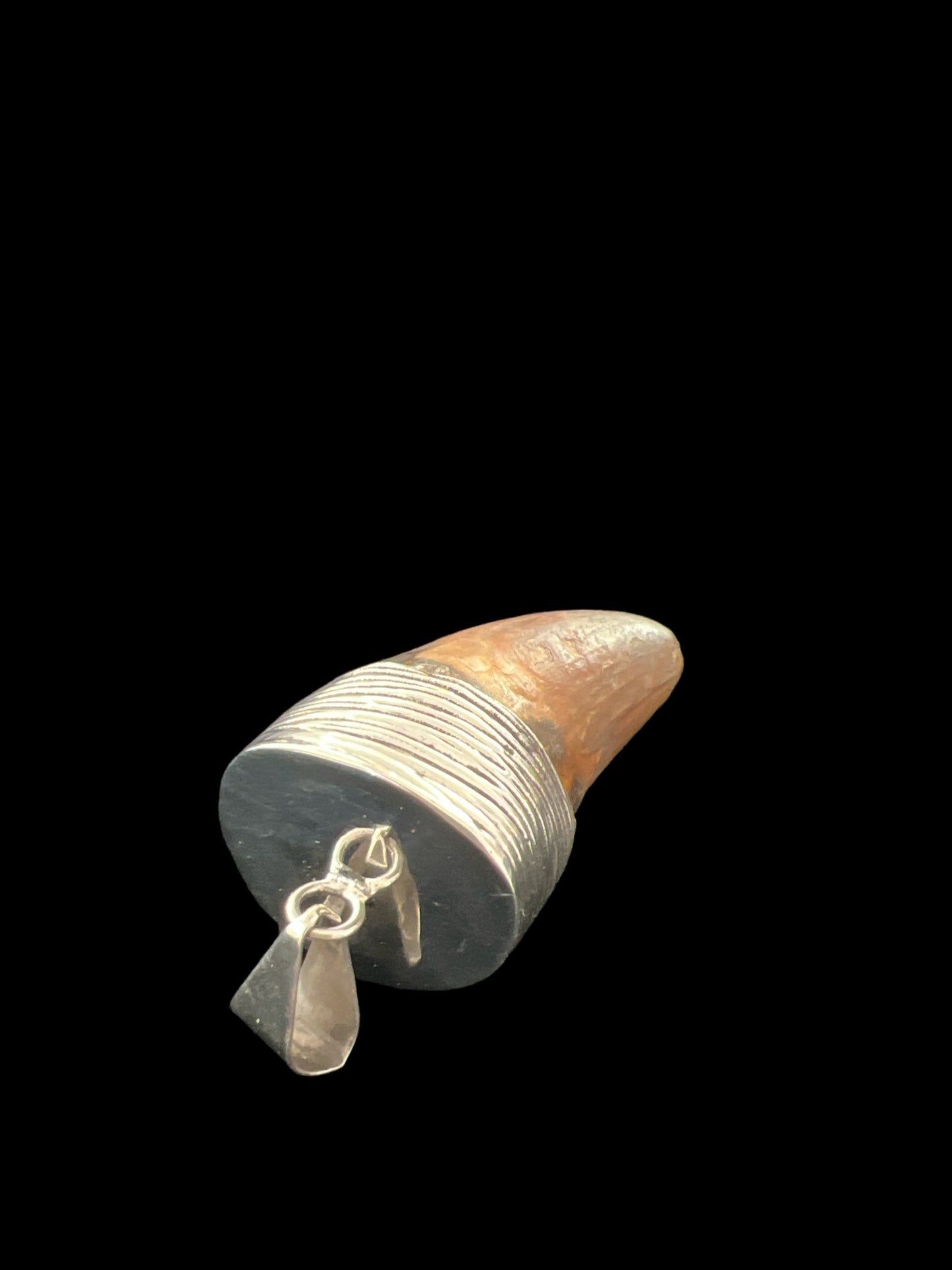 Carcharodontosaurus Tooth Pendant | 2" | Sterling Silver | 100% Authentic