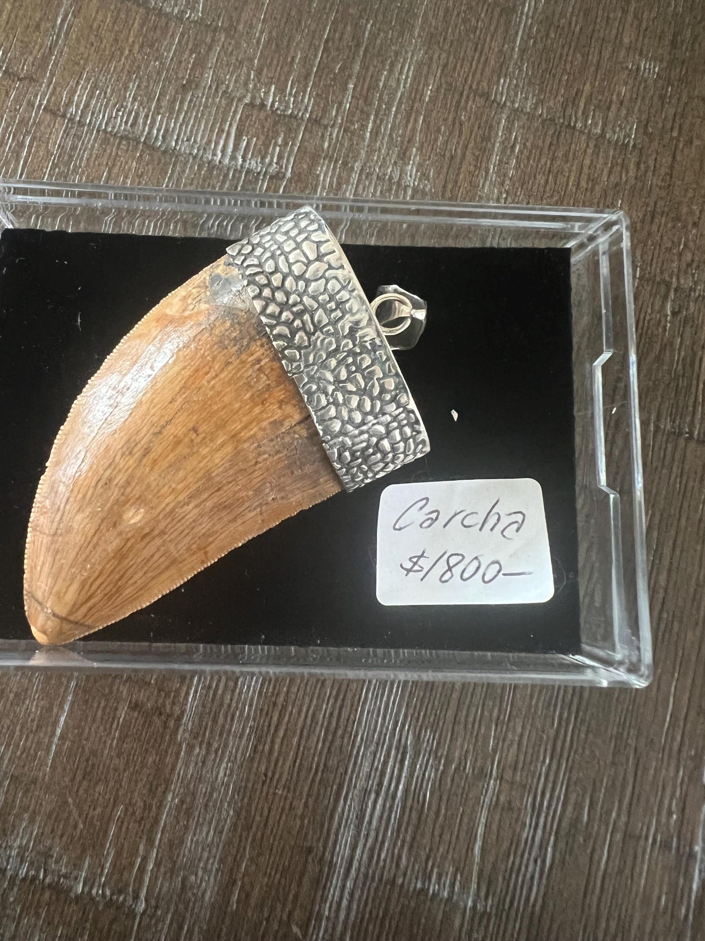 1.5” Carcharodontosaurus Tooth Pendant | Sterling Silver