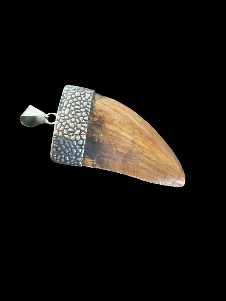1.5” Carcharodontosaurus Tooth Pendant | Sterling Silver