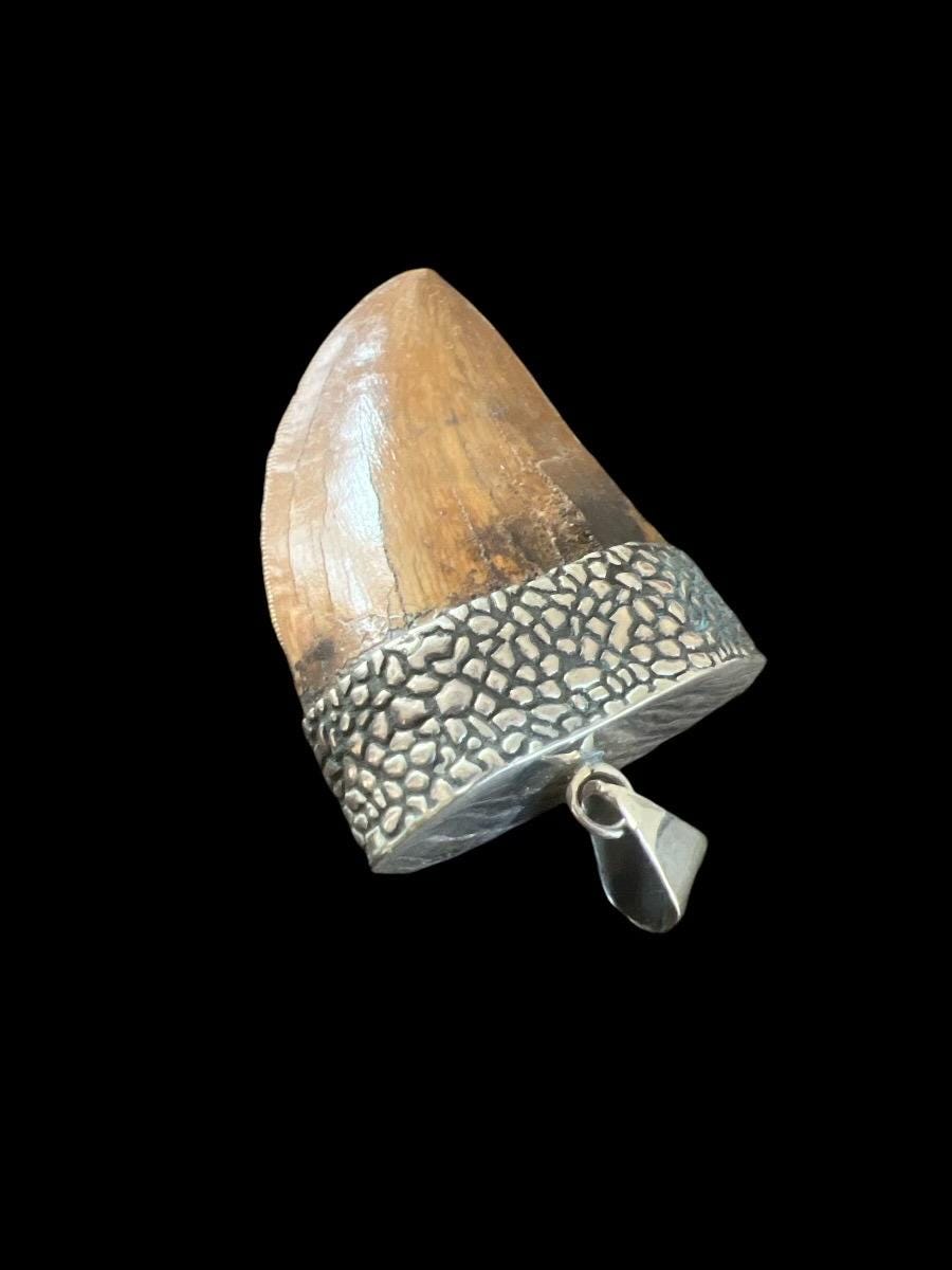 1.5” Carcharodontosaurus Tooth Pendant | Sterling Silver