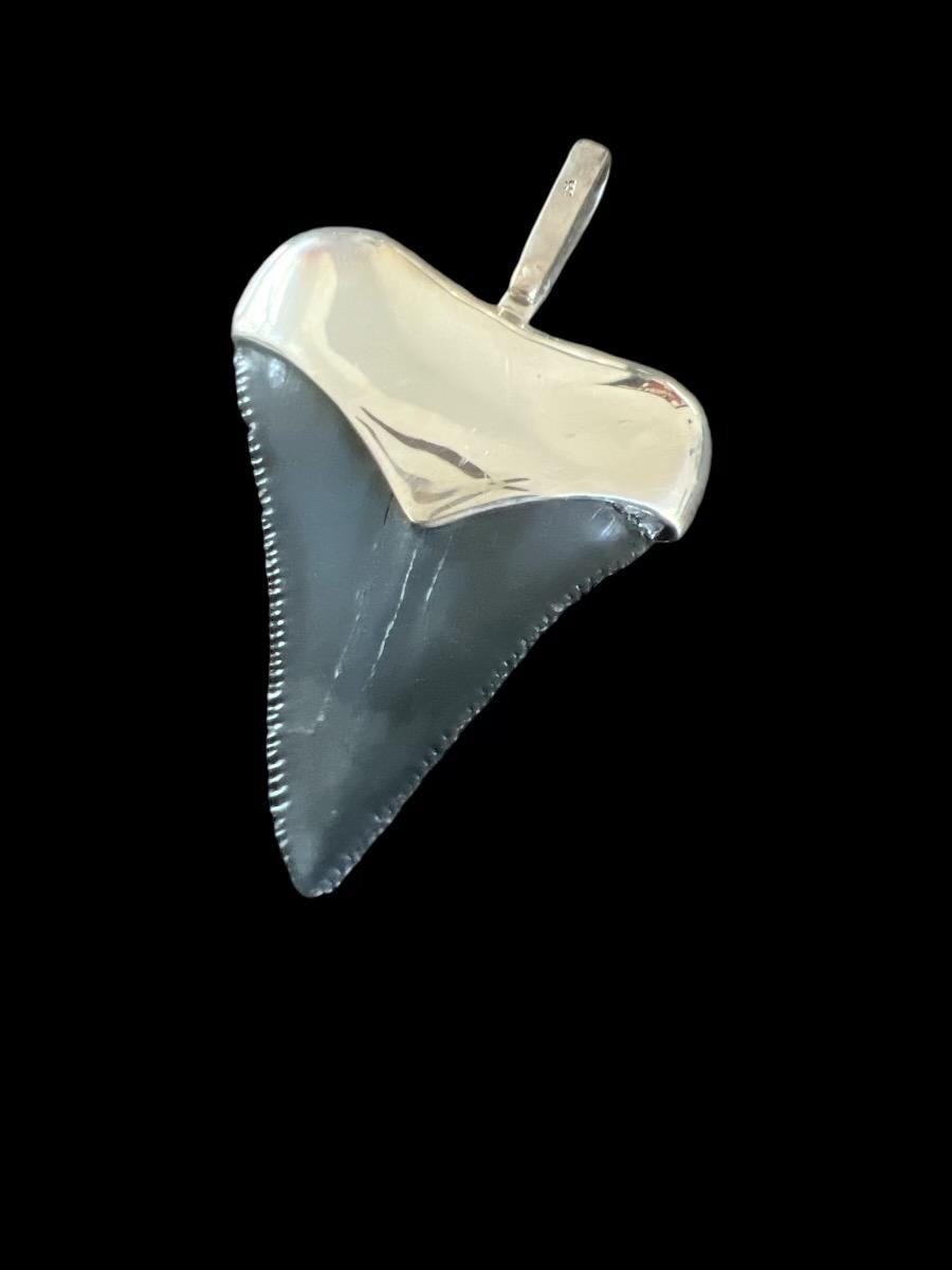 Megalodon Tooth Pendant | Sterling Silver