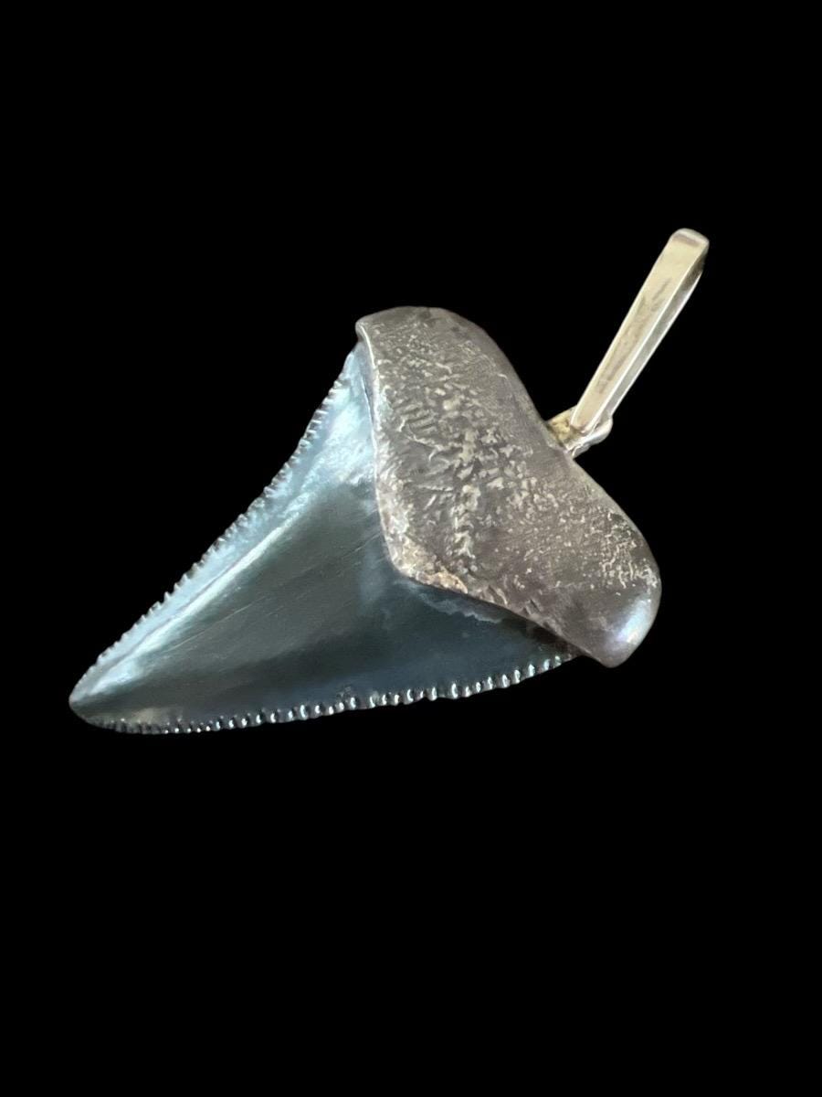 Megalodon Tooth Pendant | Sterling Silver