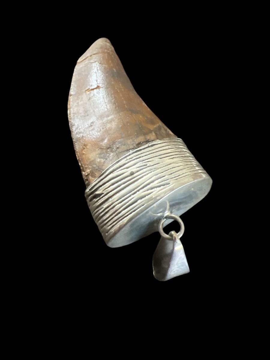 2” Carcharodontosaurus Tooth Pendant | Sterling Silver