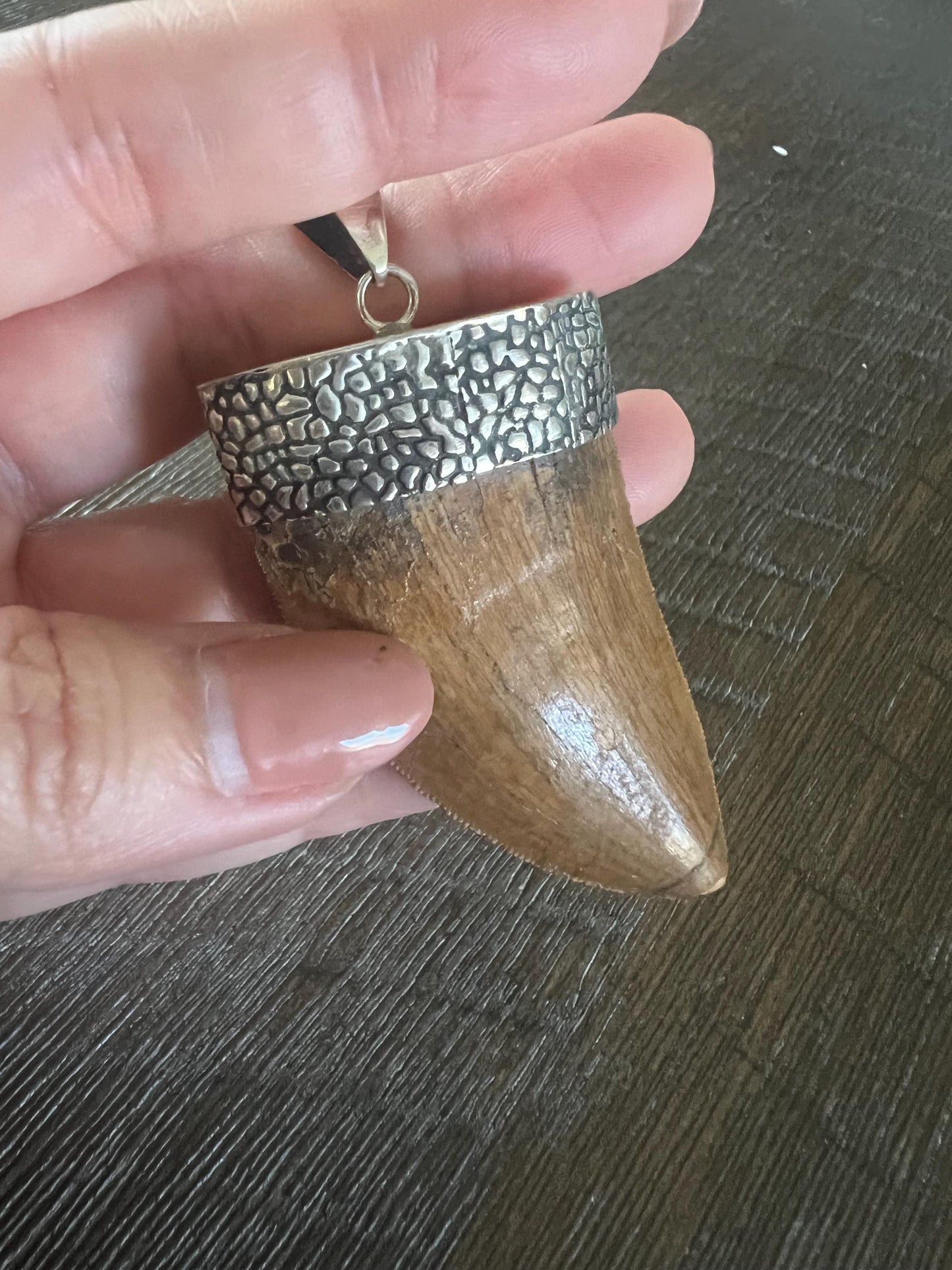 1.5” Carcharodontosaurus Tooth Pendant | Sterling Silver