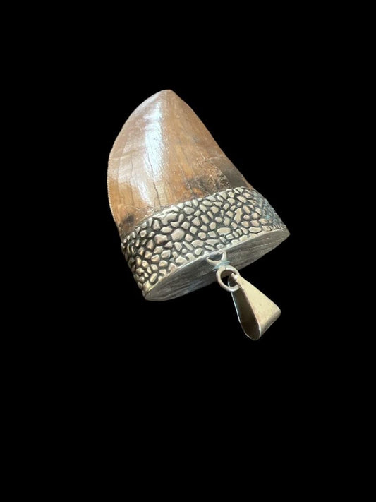 1.5” Carcharodontosaurus Tooth Pendant | Sterling Silver