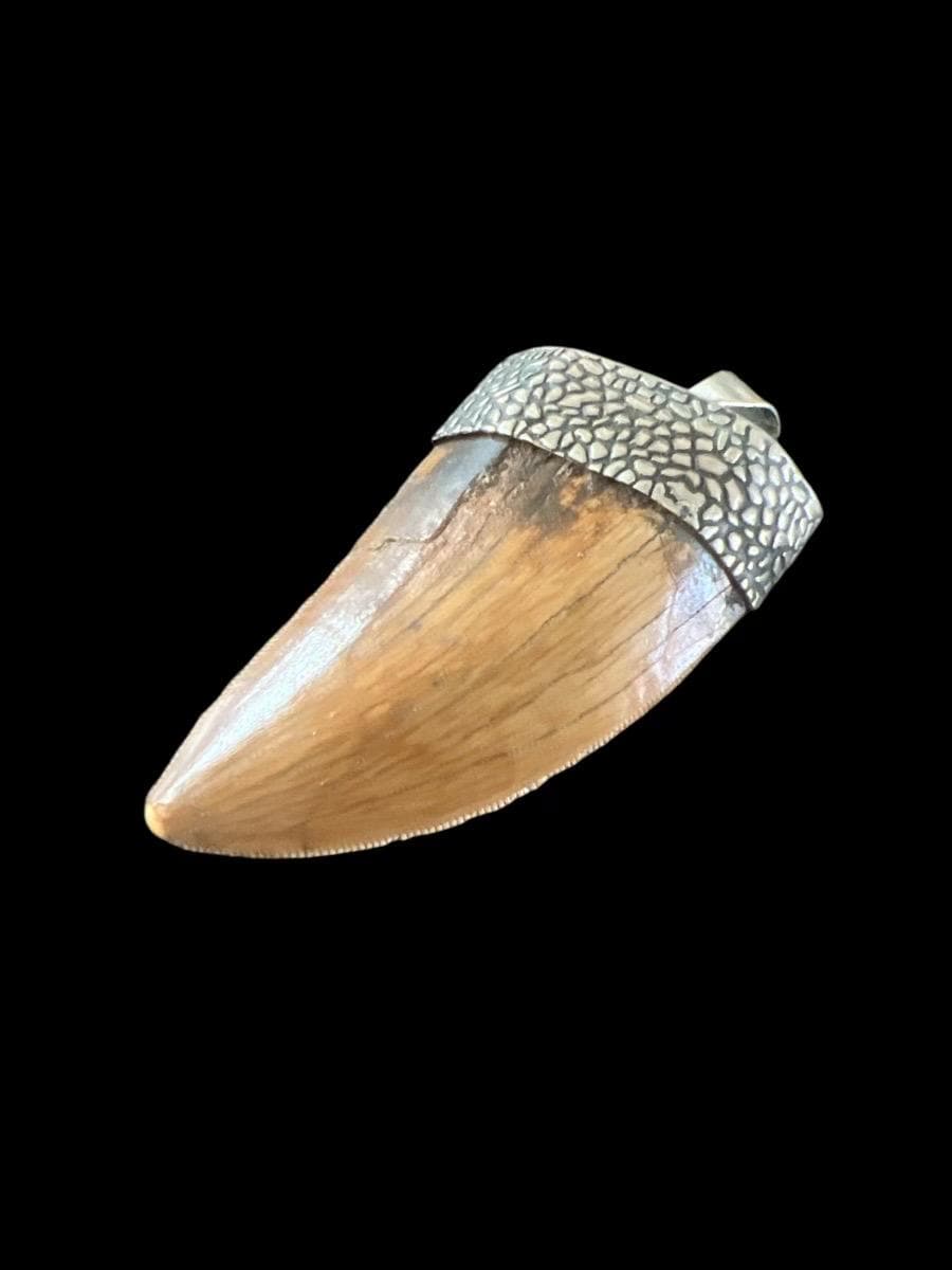 1.5” Carcharodontosaurus Tooth Pendant | Sterling Silver