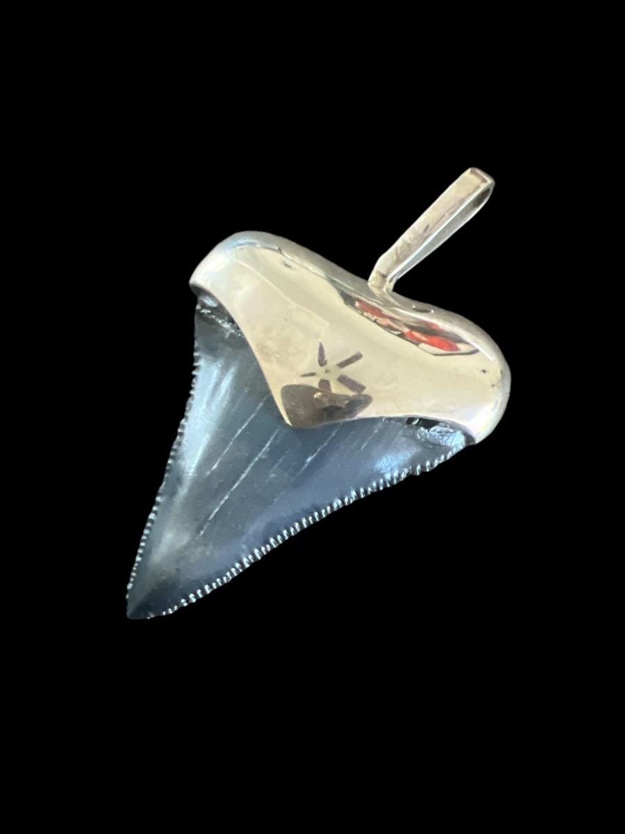 Megalodon Tooth Pendant | Sterling Silver